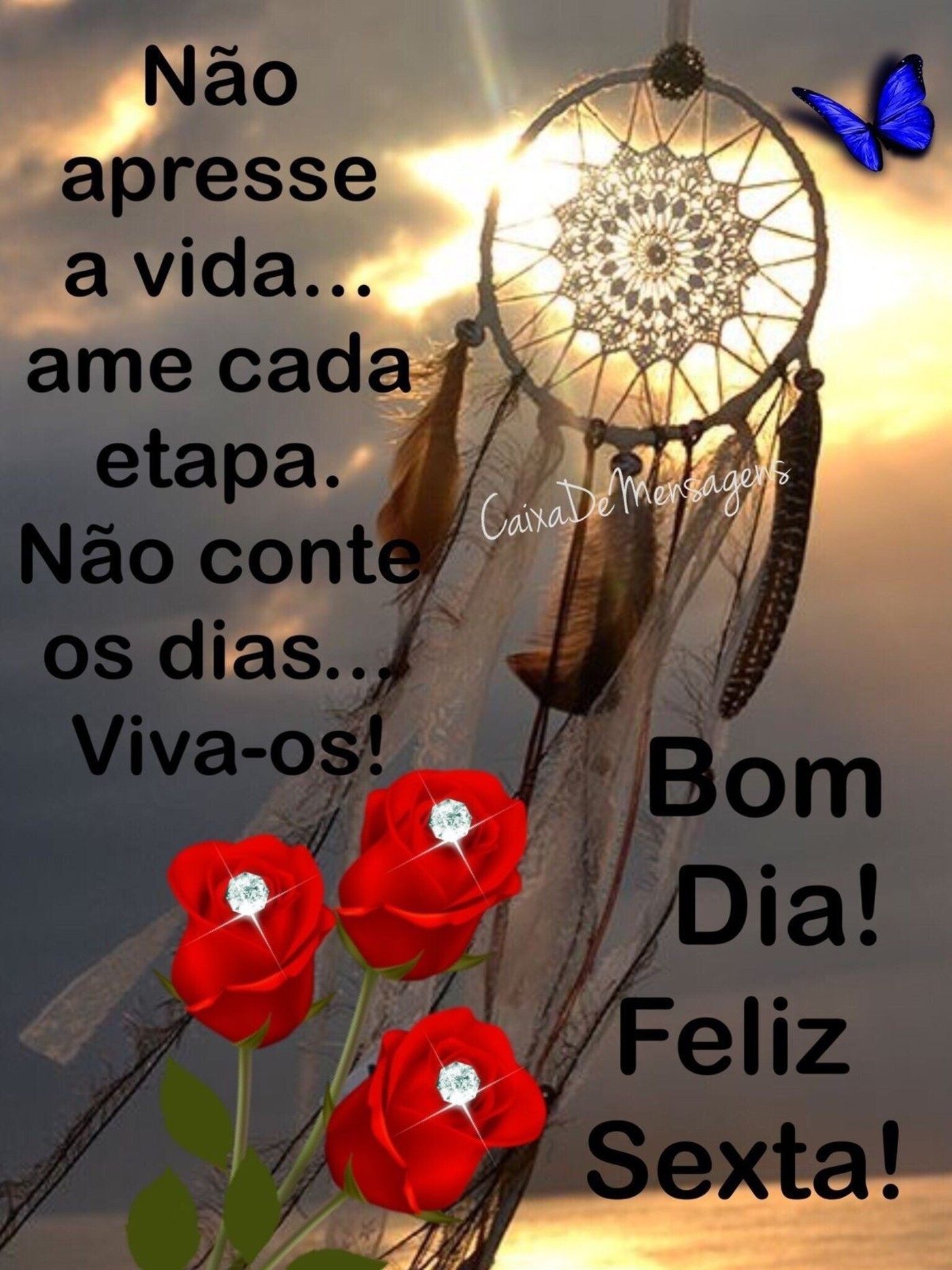 Bom dia feliz sexta feira amigos - ImagensBomDia.net