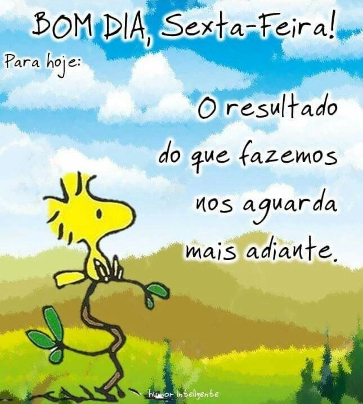 Bom dia feliz sexta feira amigos 41