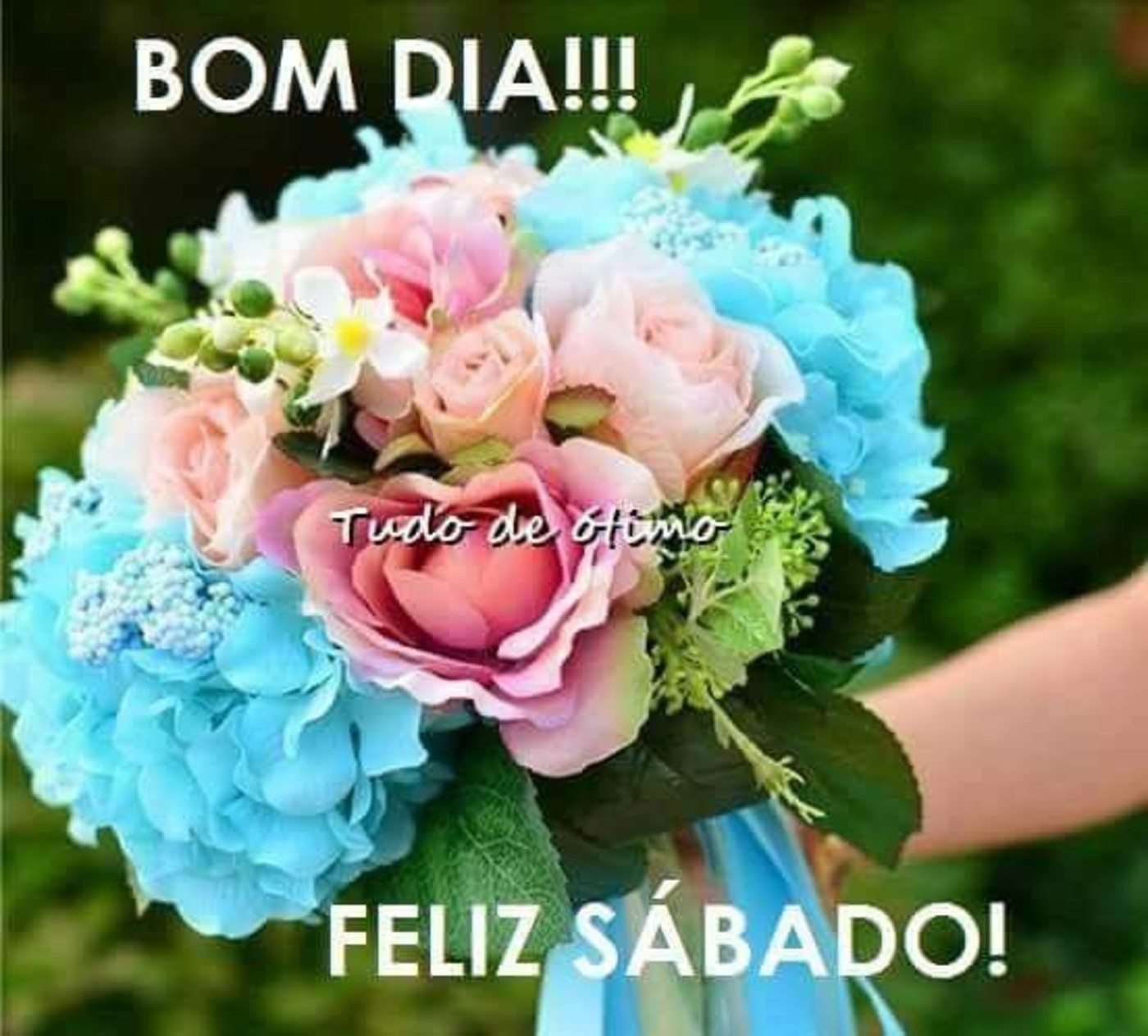 Bom dia gente linda feliz sábado 88 Bom dia gente linda feliz sábado 88