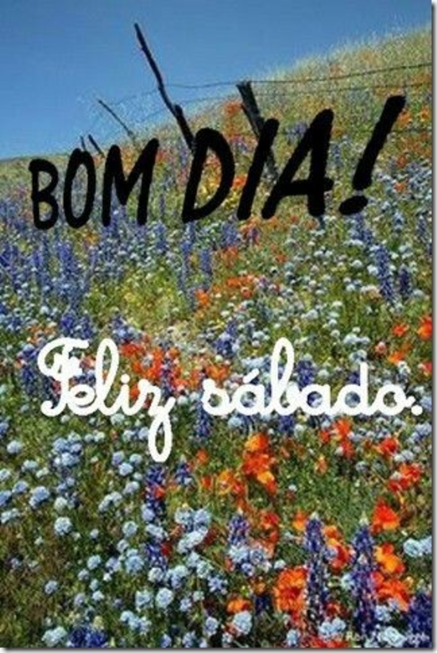 Bom dia gente linda feliz sábado 89 Bom dia gente linda feliz sábado 89