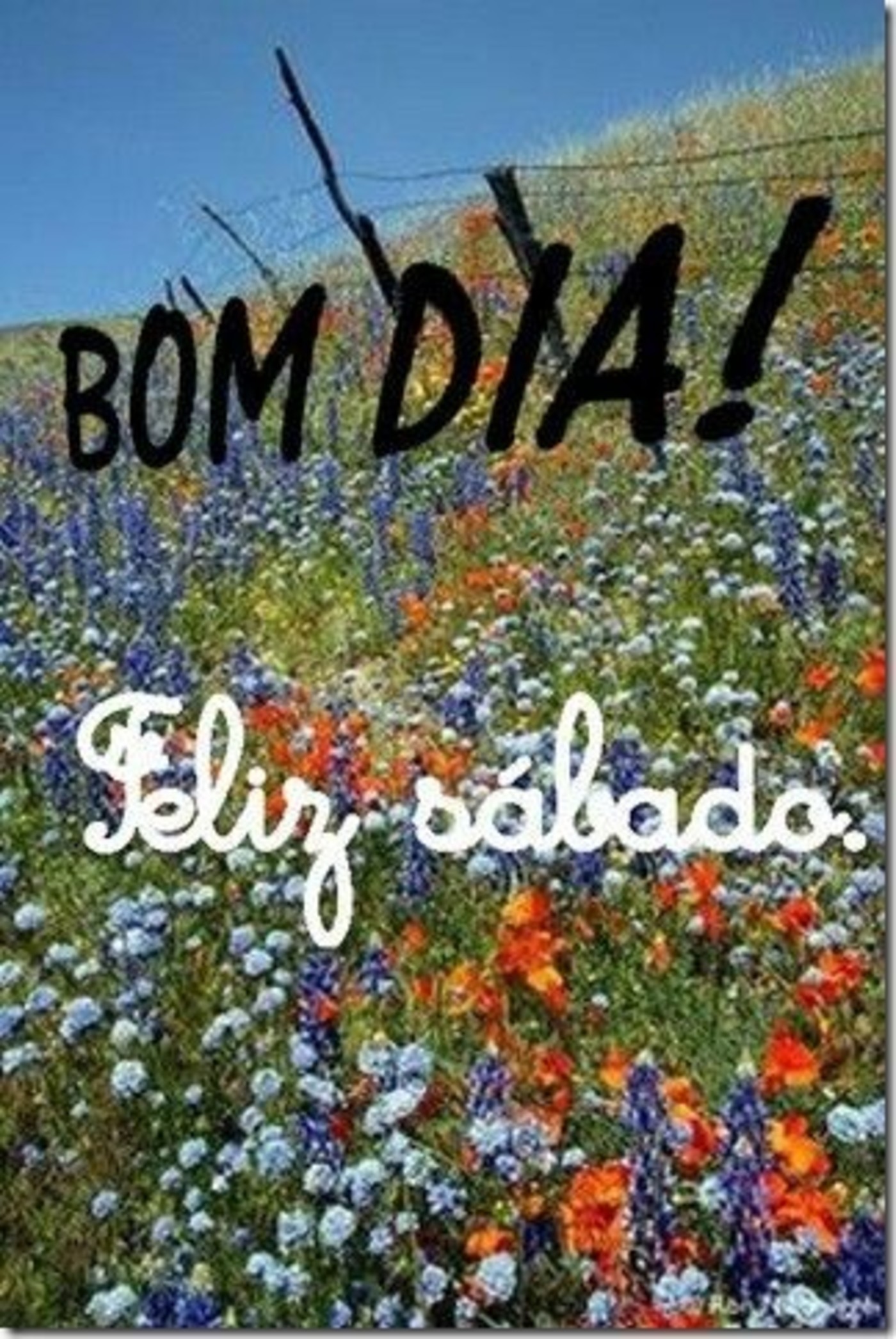 Bom dia gente linda feliz sábado 89