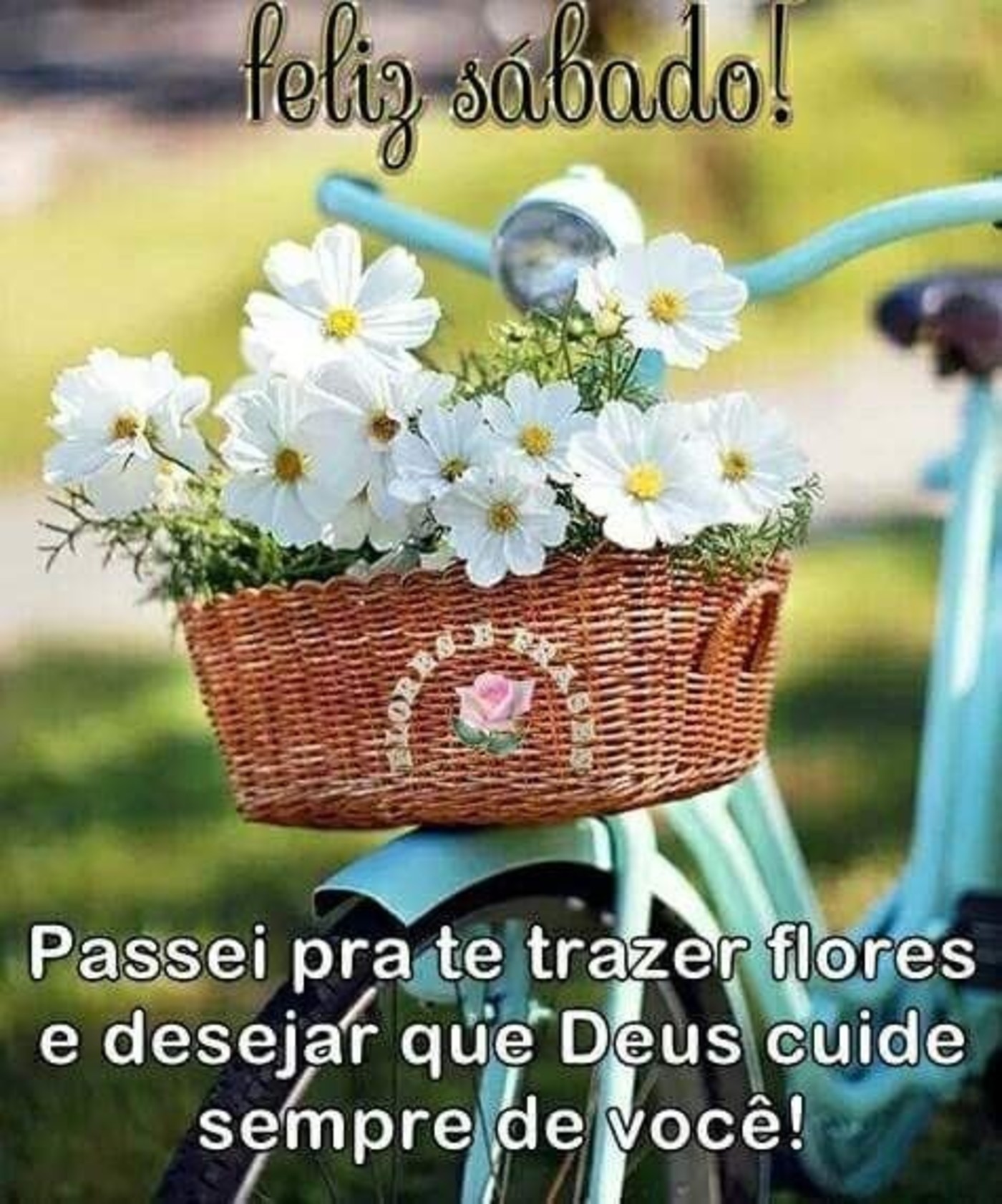 Bom dia gente linda feliz sábado 97