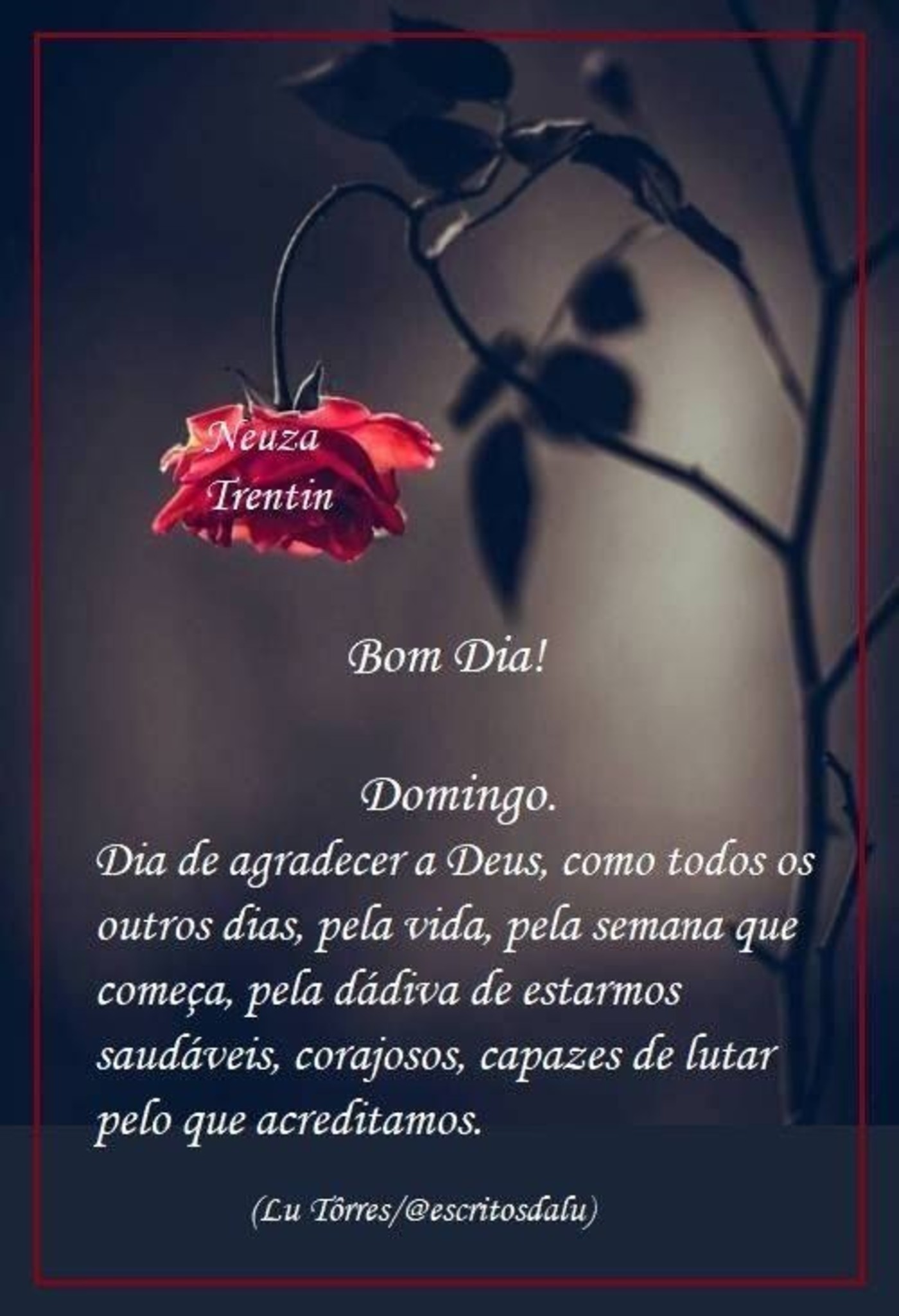 Bom domingo Imagens Facebook e Whatsapp 315 Bom domingo Imagens Facebook e Whatsapp 315