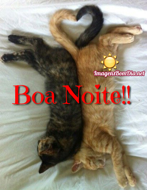 Bonitas imagens de Boa Noite para WhatsApp Facebook