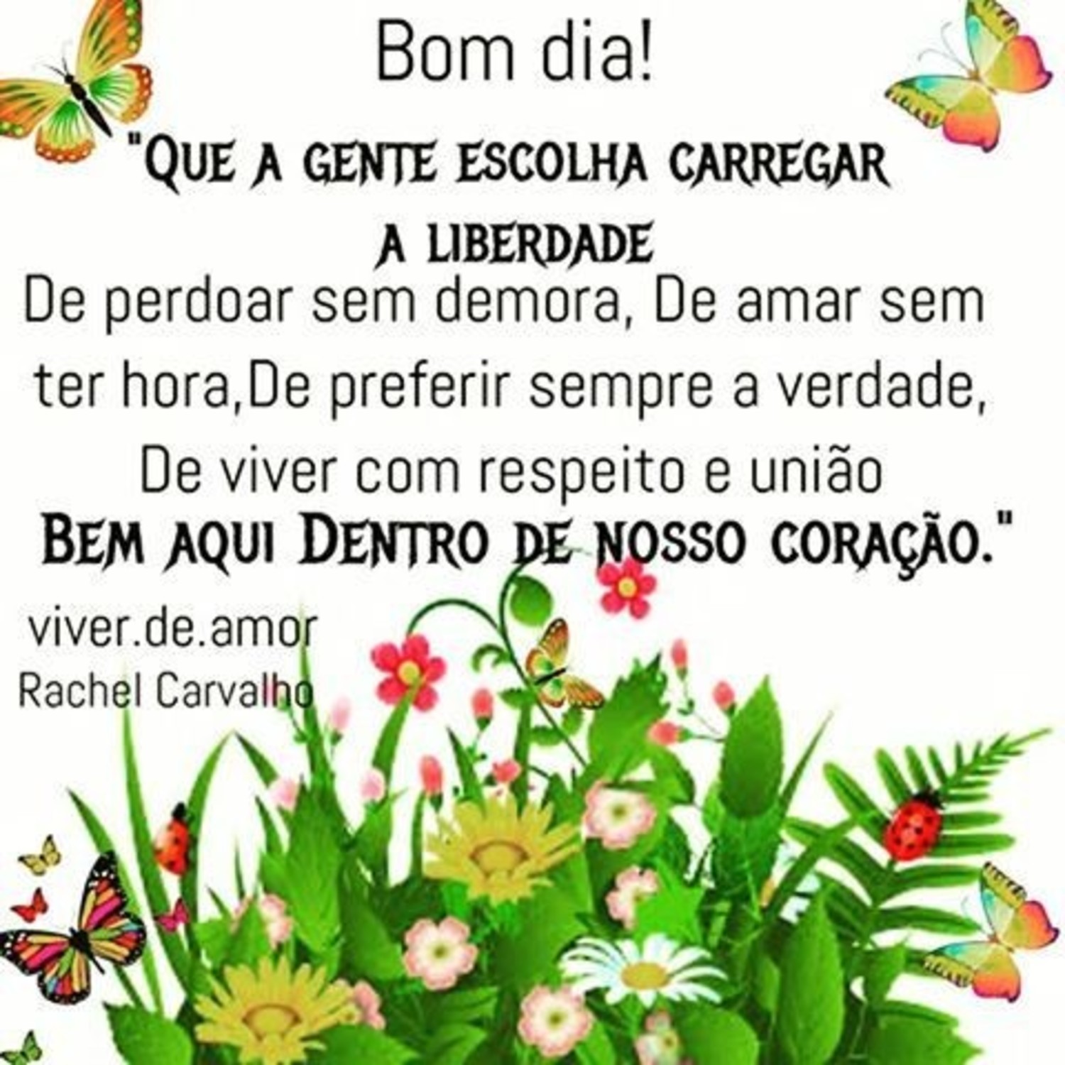 Bonitas mensagens do Bom Dia 464