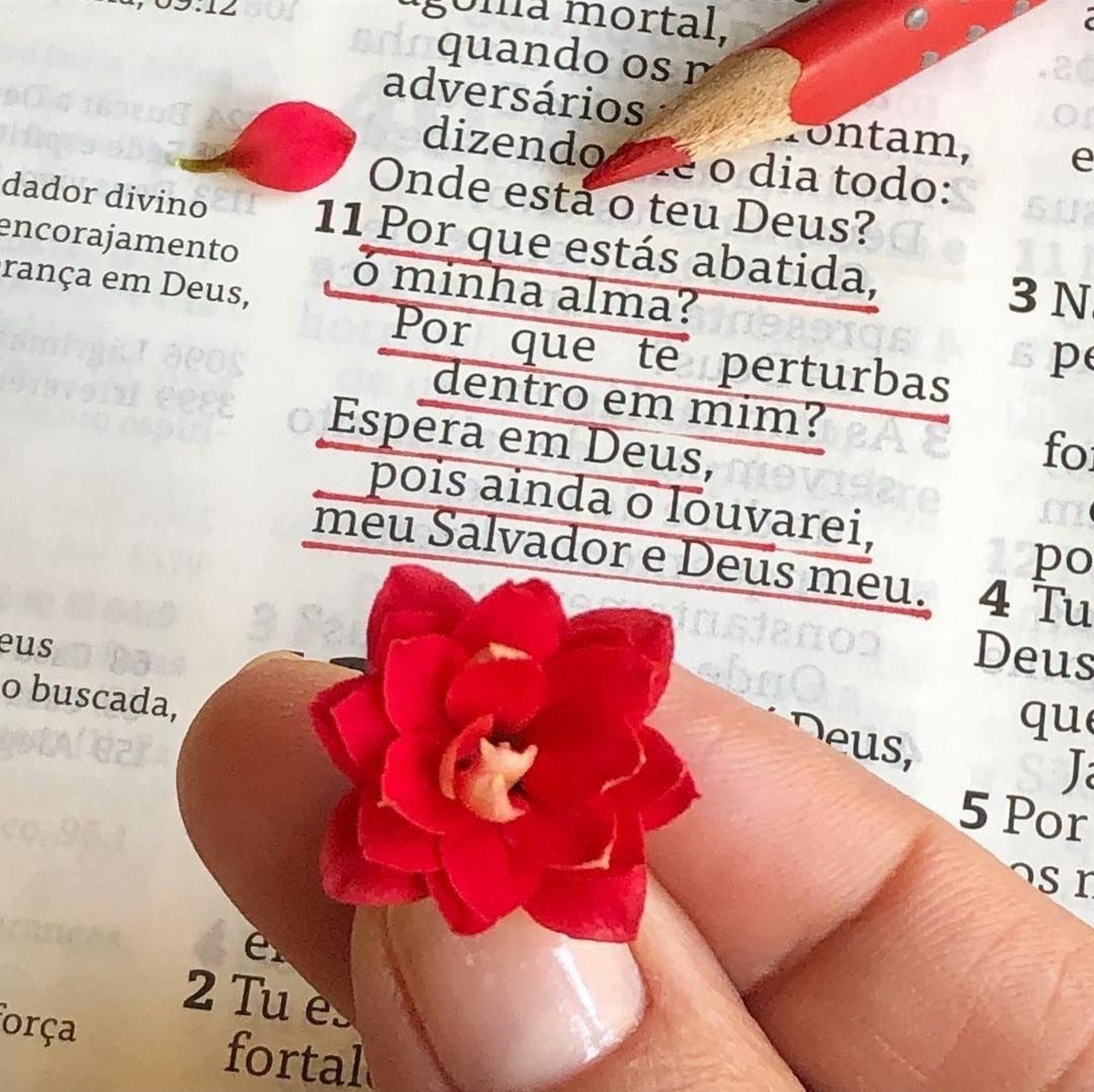 Citações belas 378