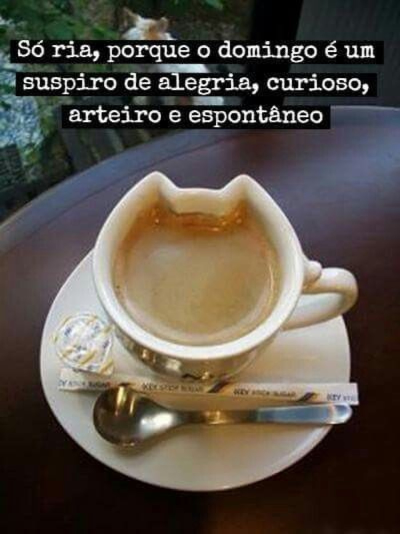 Com café Feliz Domingo imagem 258