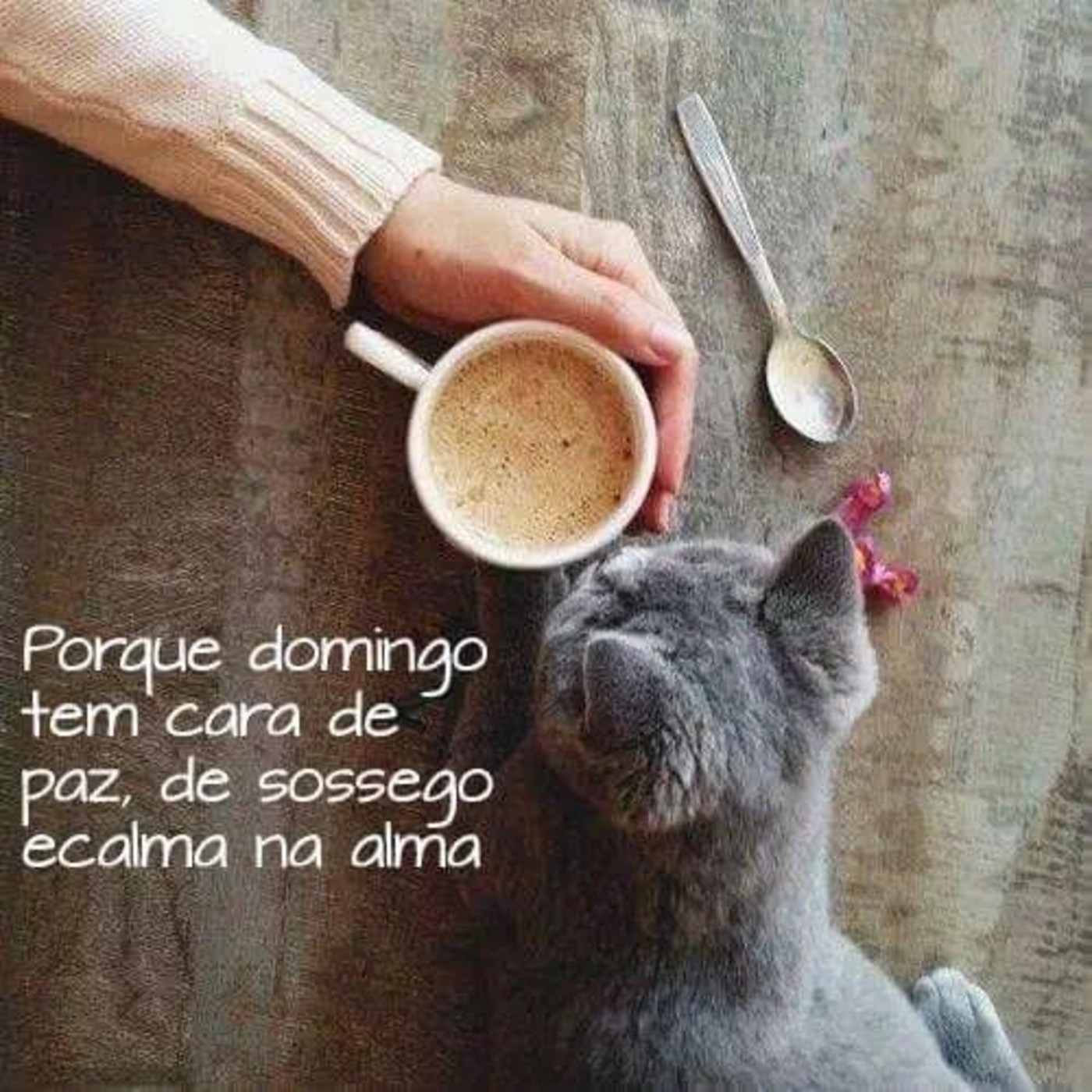 Com café Feliz Domingo imagem 273