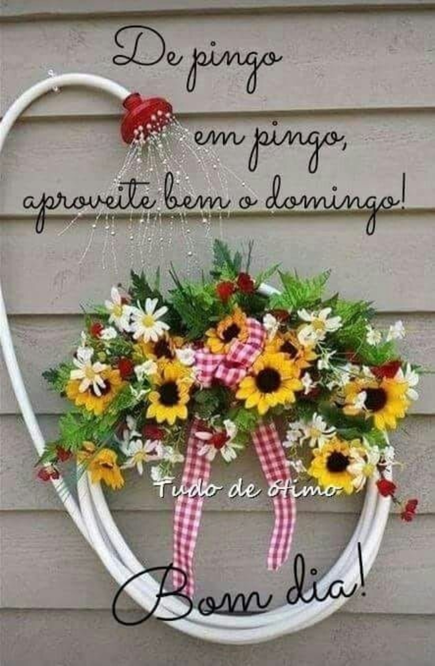 Com flores Feliz Domingo Bom Dia 36