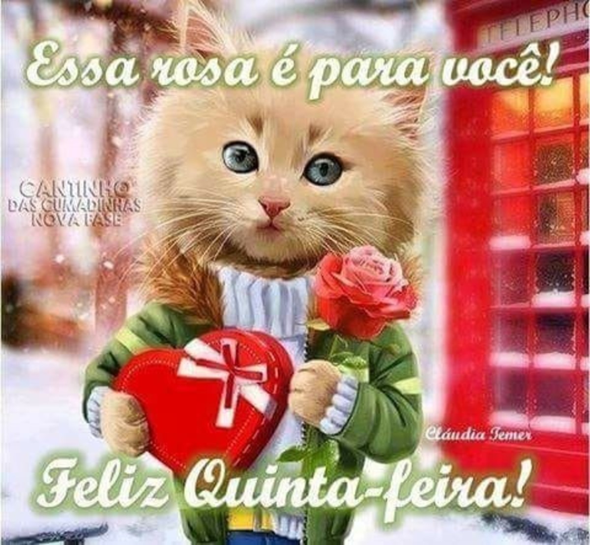 Essa rosa é para você Feliz Quinta-Feira 72 Essa rosa é para você Feliz Quinta-Feira 72