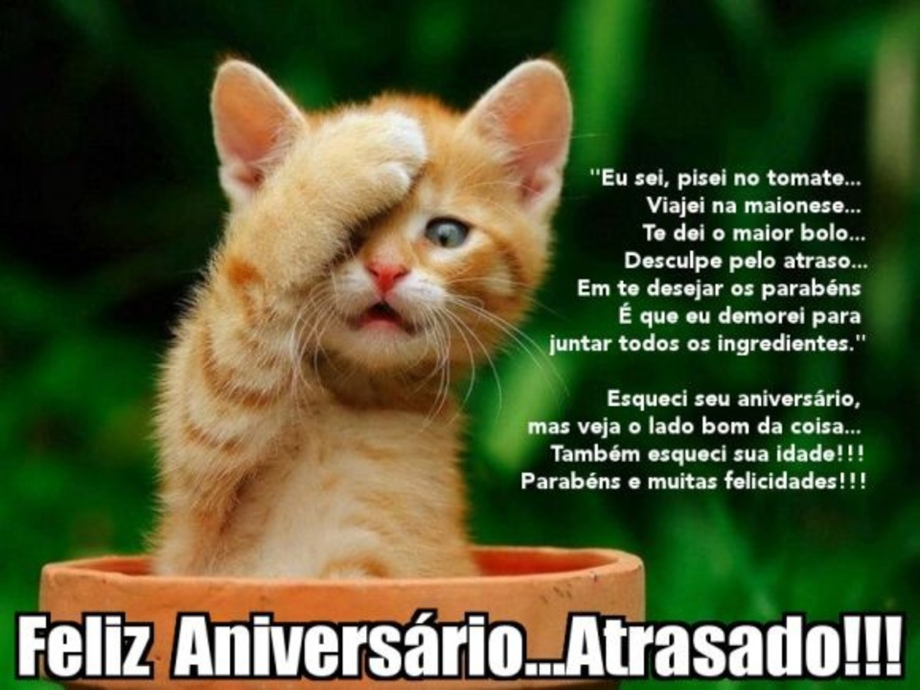 Feliz Aniversário atrasado 136