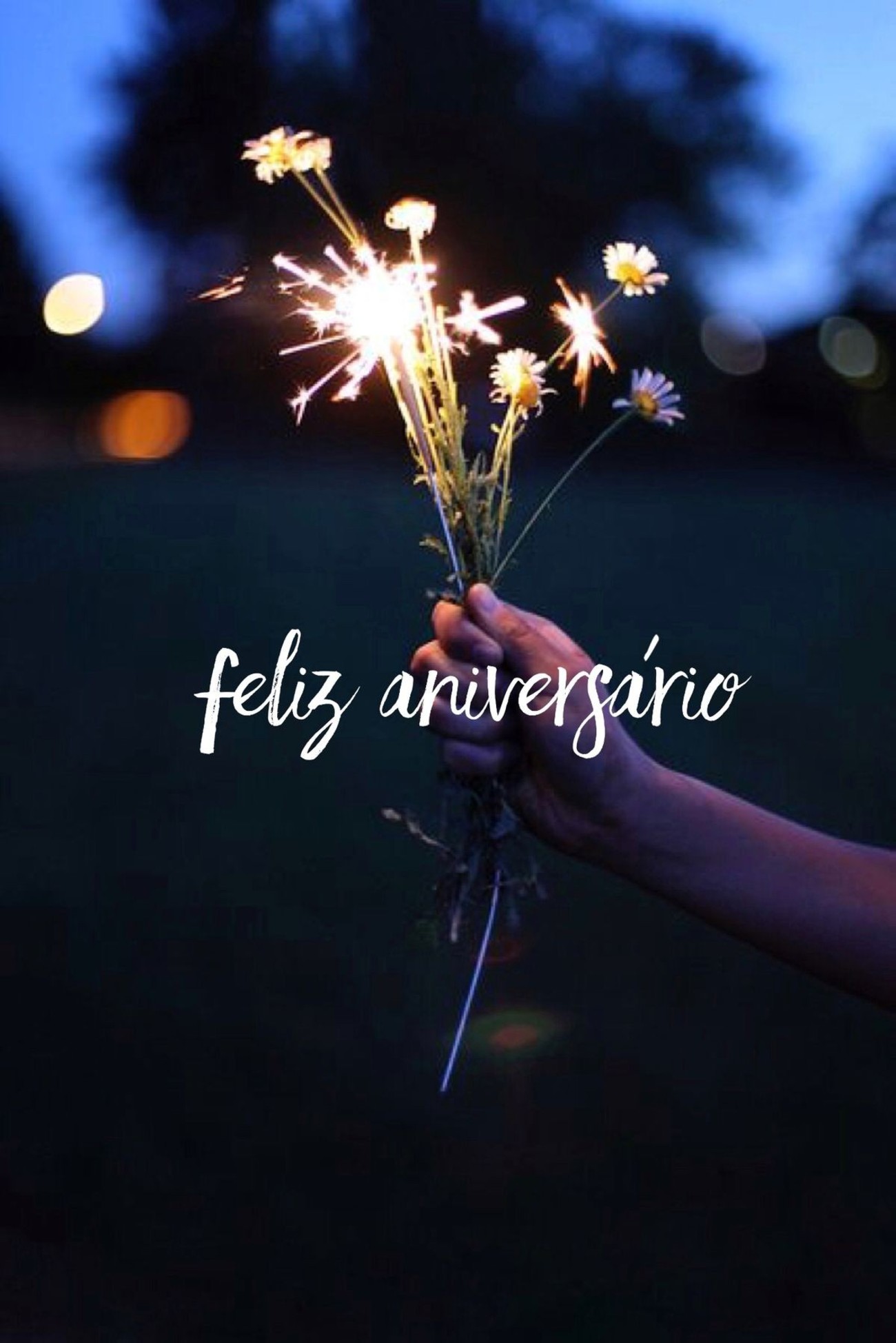 Feliz Aniversário fotos 16