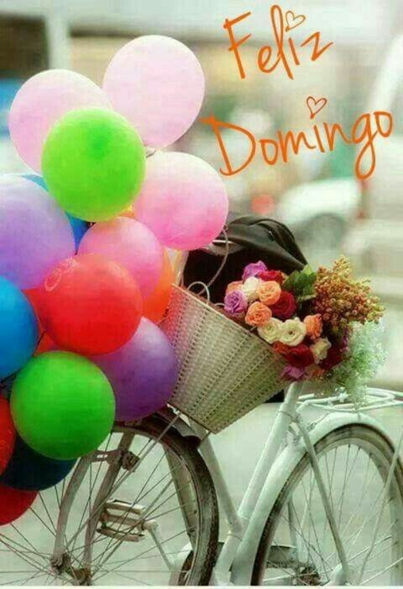 Feliz Domingo a todos98