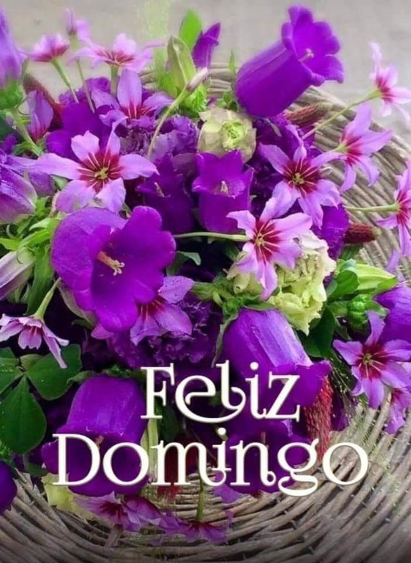 Feliz Domingo belas mensagens 203