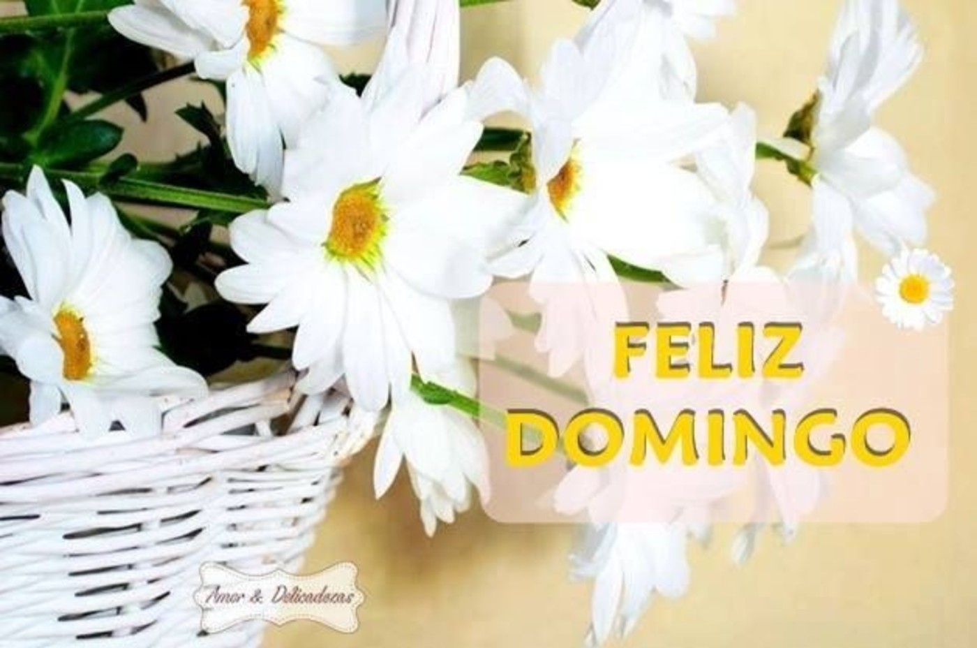 Feliz Domingo belas mensagens 21