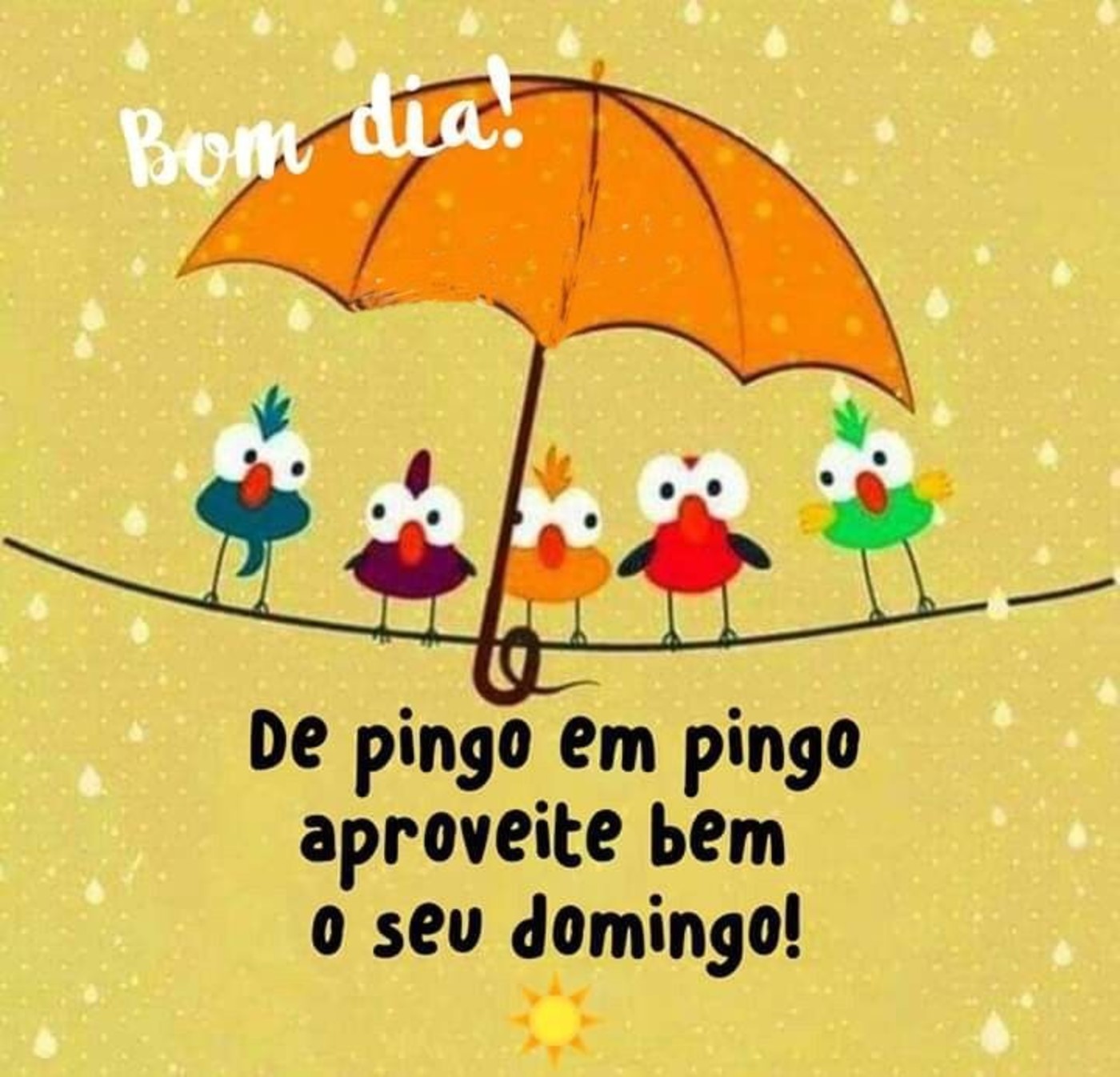 Feliz Domingo com chuva 44