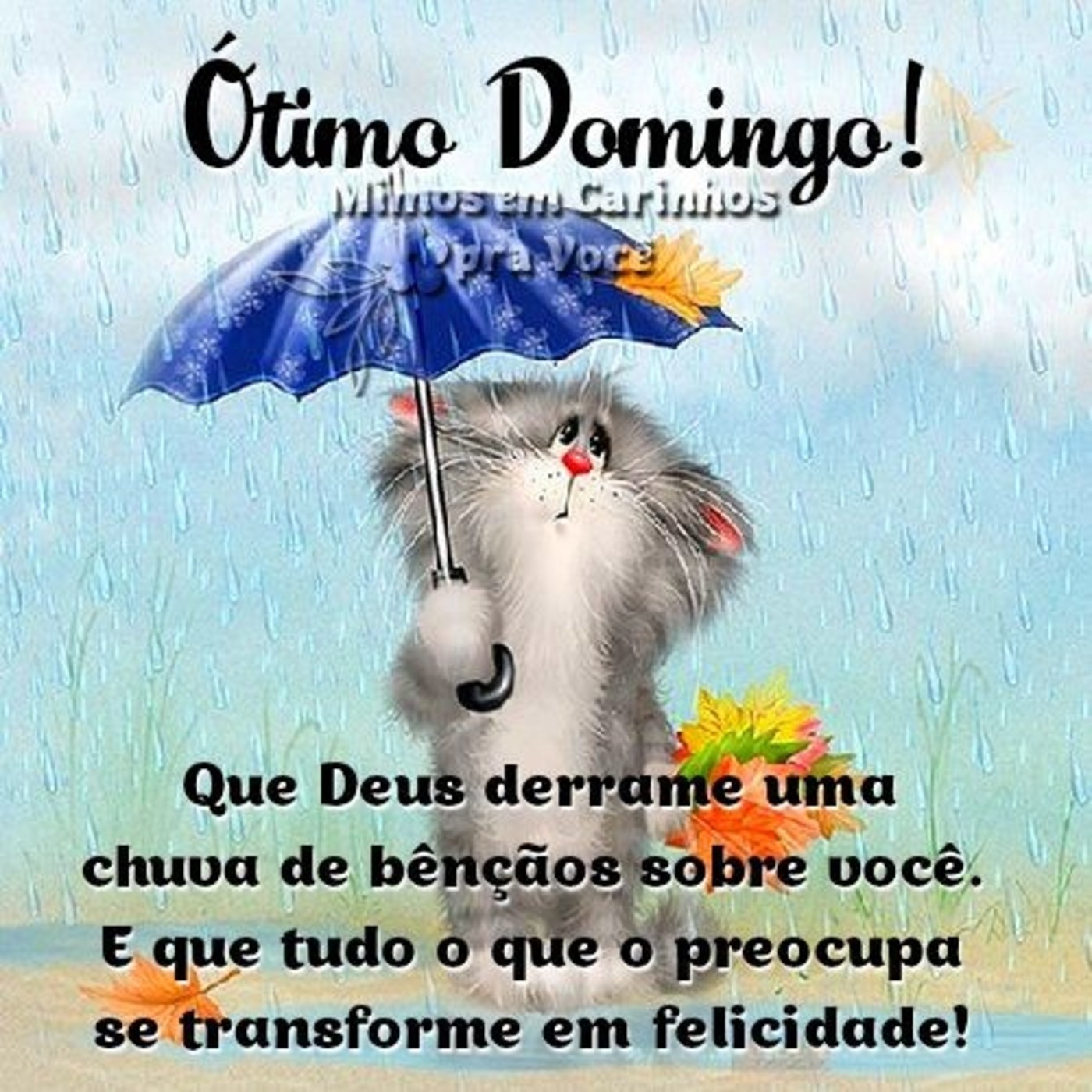 Feliz Domingo imagens com chuva 72 Feliz Domingo imagens com chuva 72