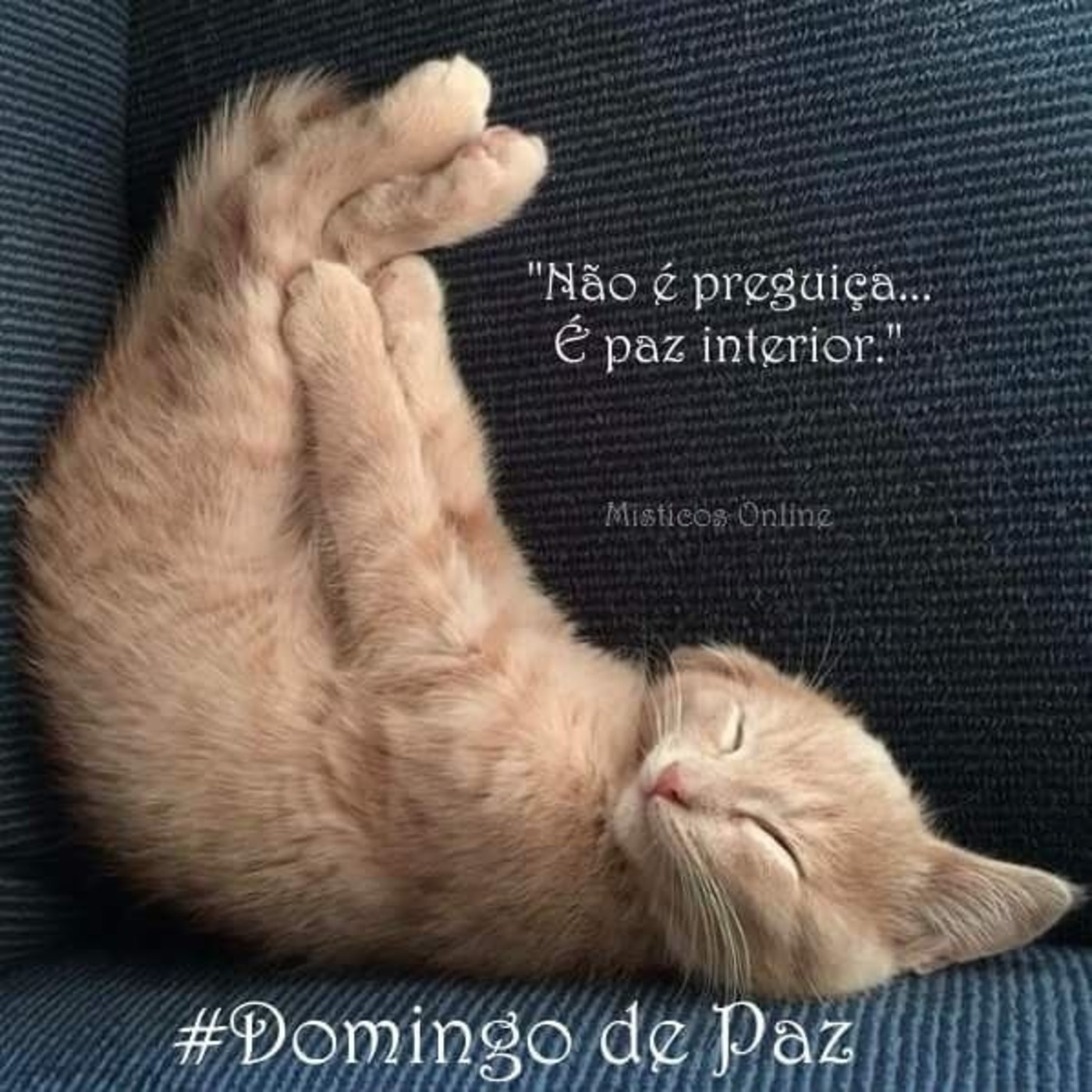 Feliz Domingo imagens engraçadas Feliz Domingo imagens engraçadas