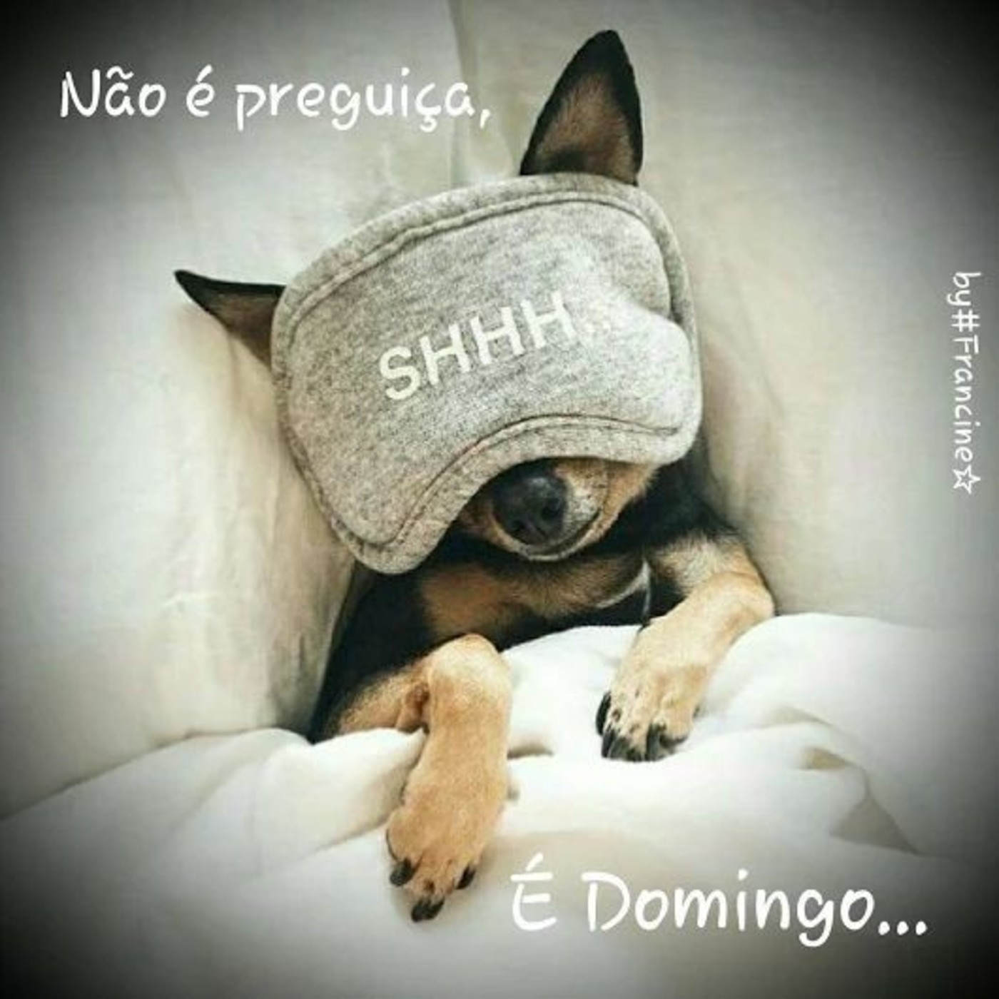 Feliz Domingo imagens engraçadas 73