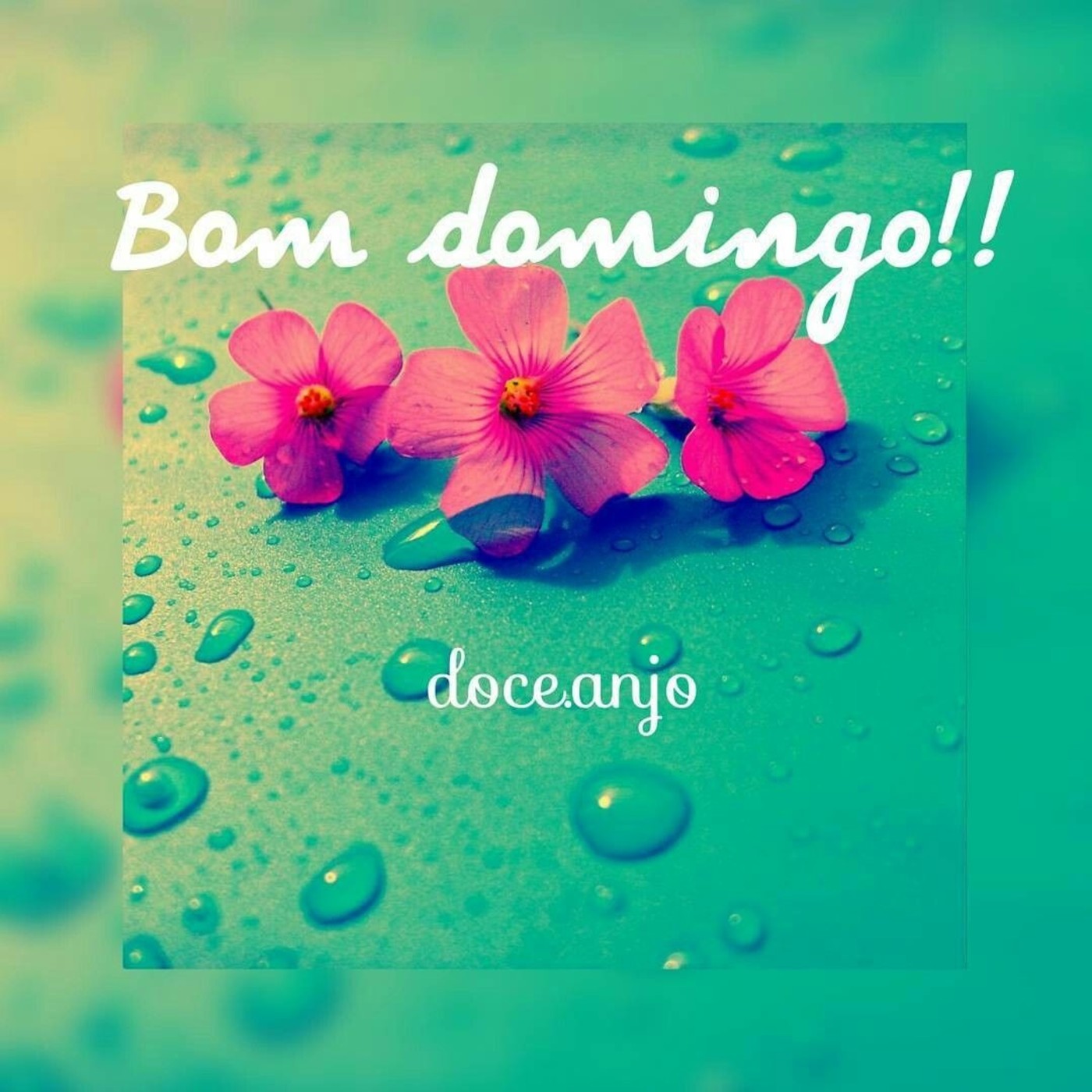 Feliz Domingo lindas imagens 24