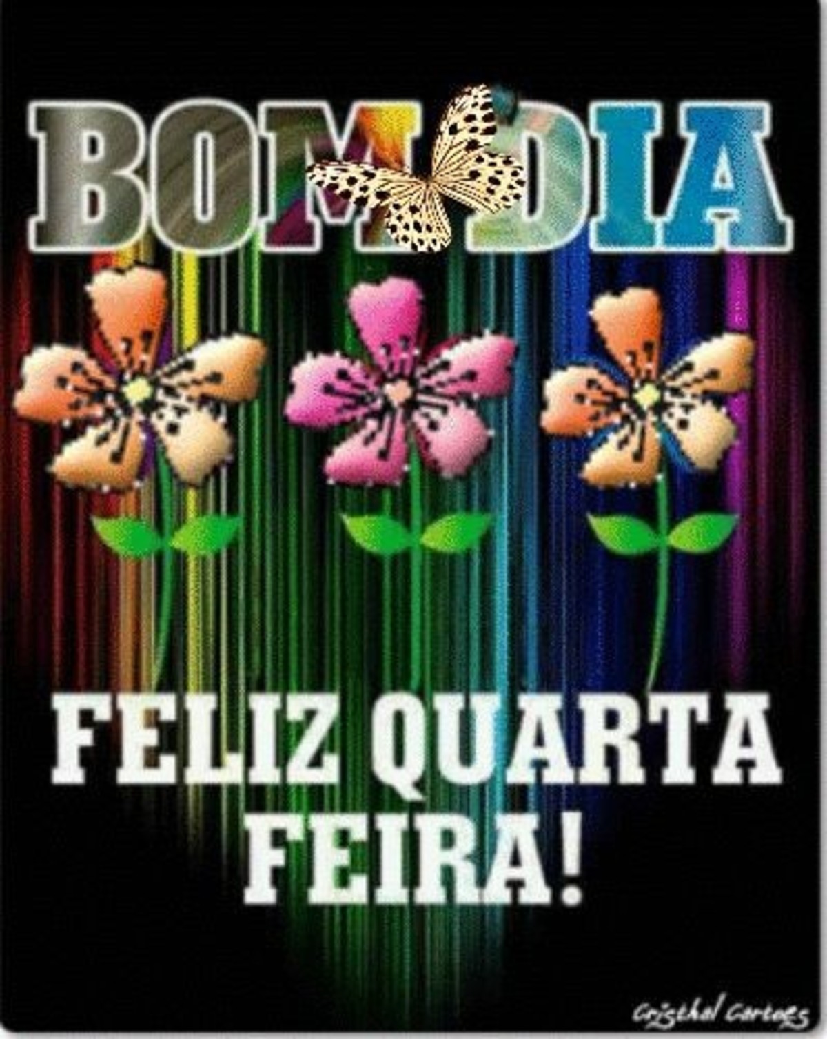Feliz Quarta-Feira Bom Dia Facebook 221