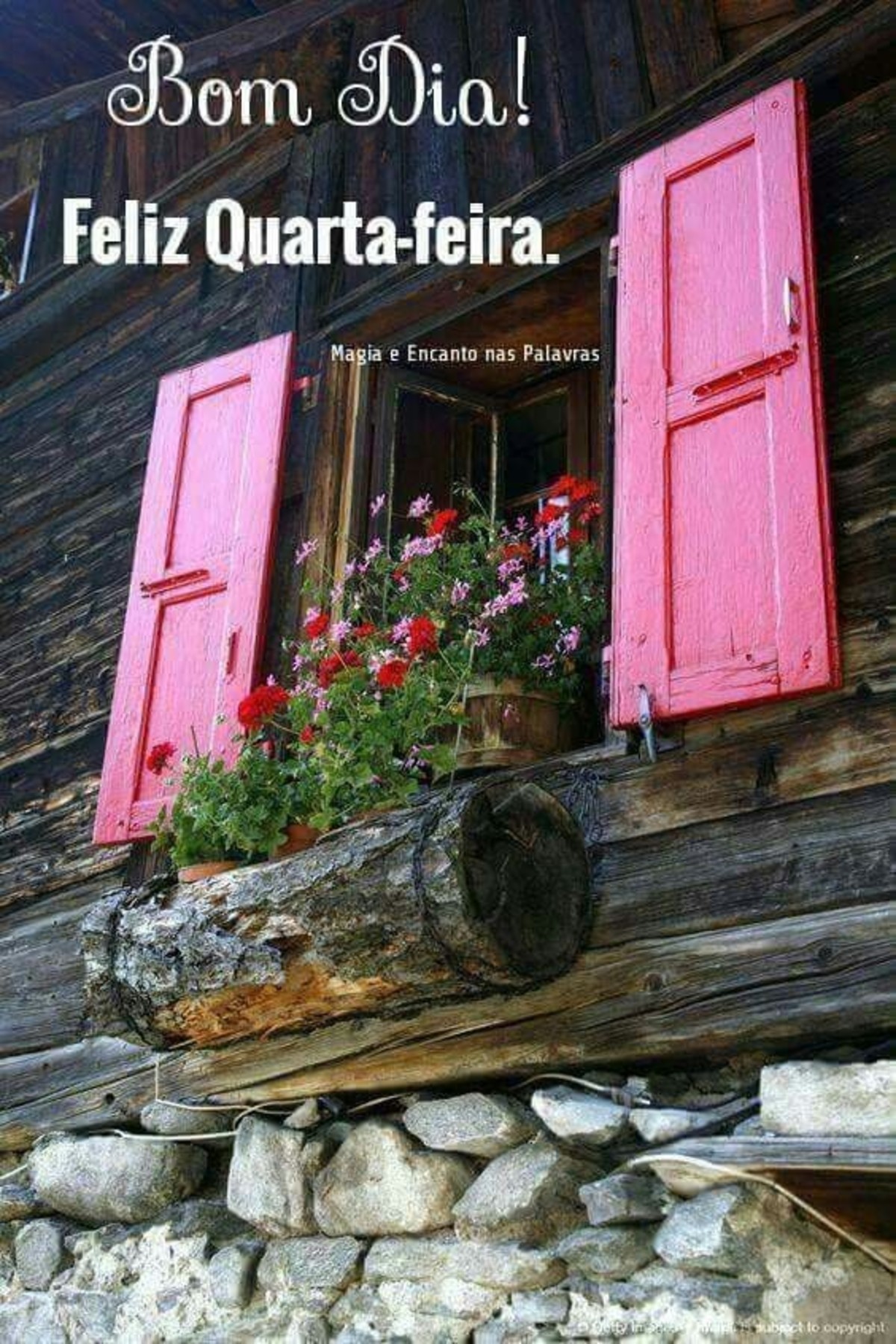 Feliz Quarta-Feira Pinterest 237