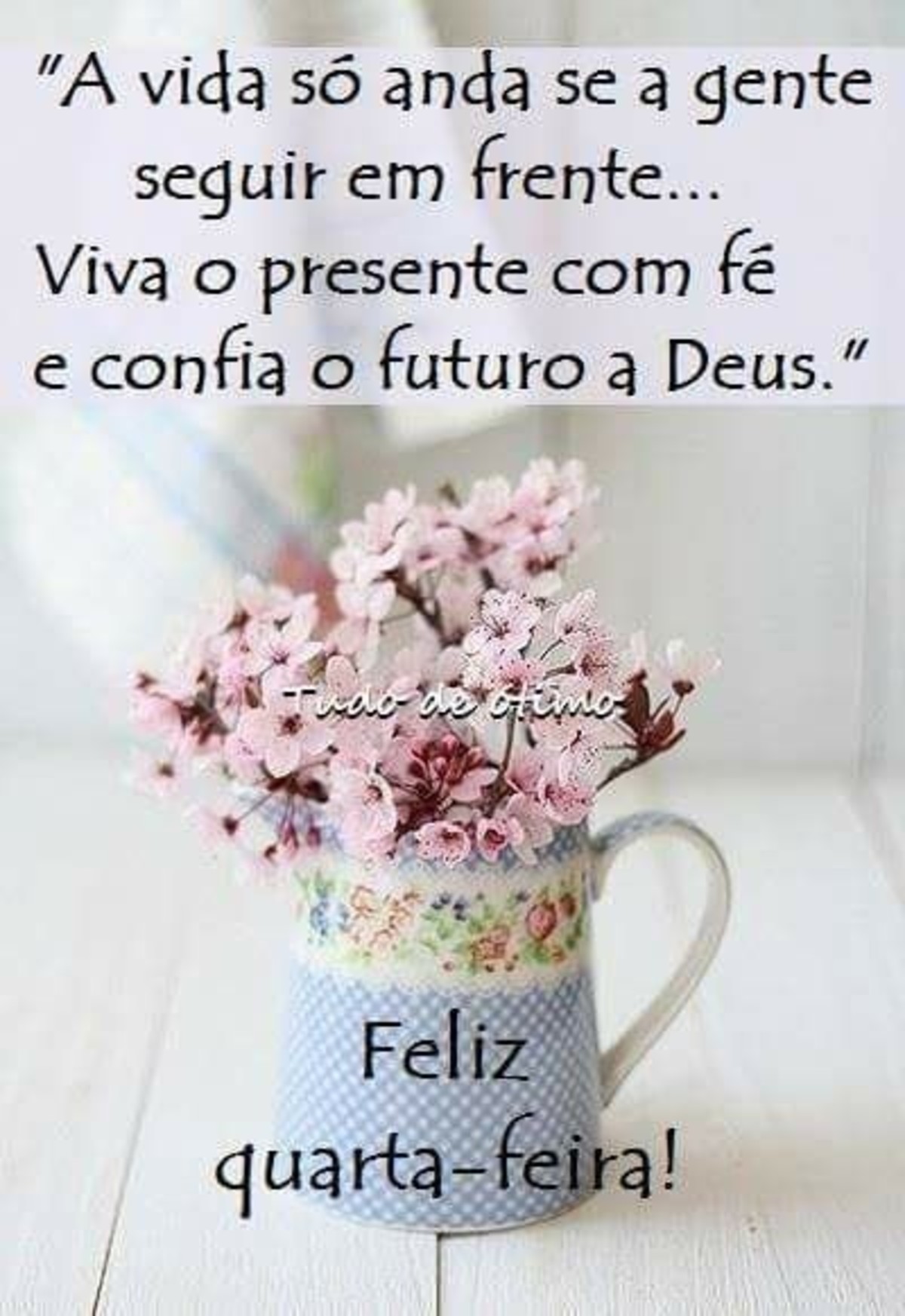 Feliz Quarta-Feira a todos imagens 67