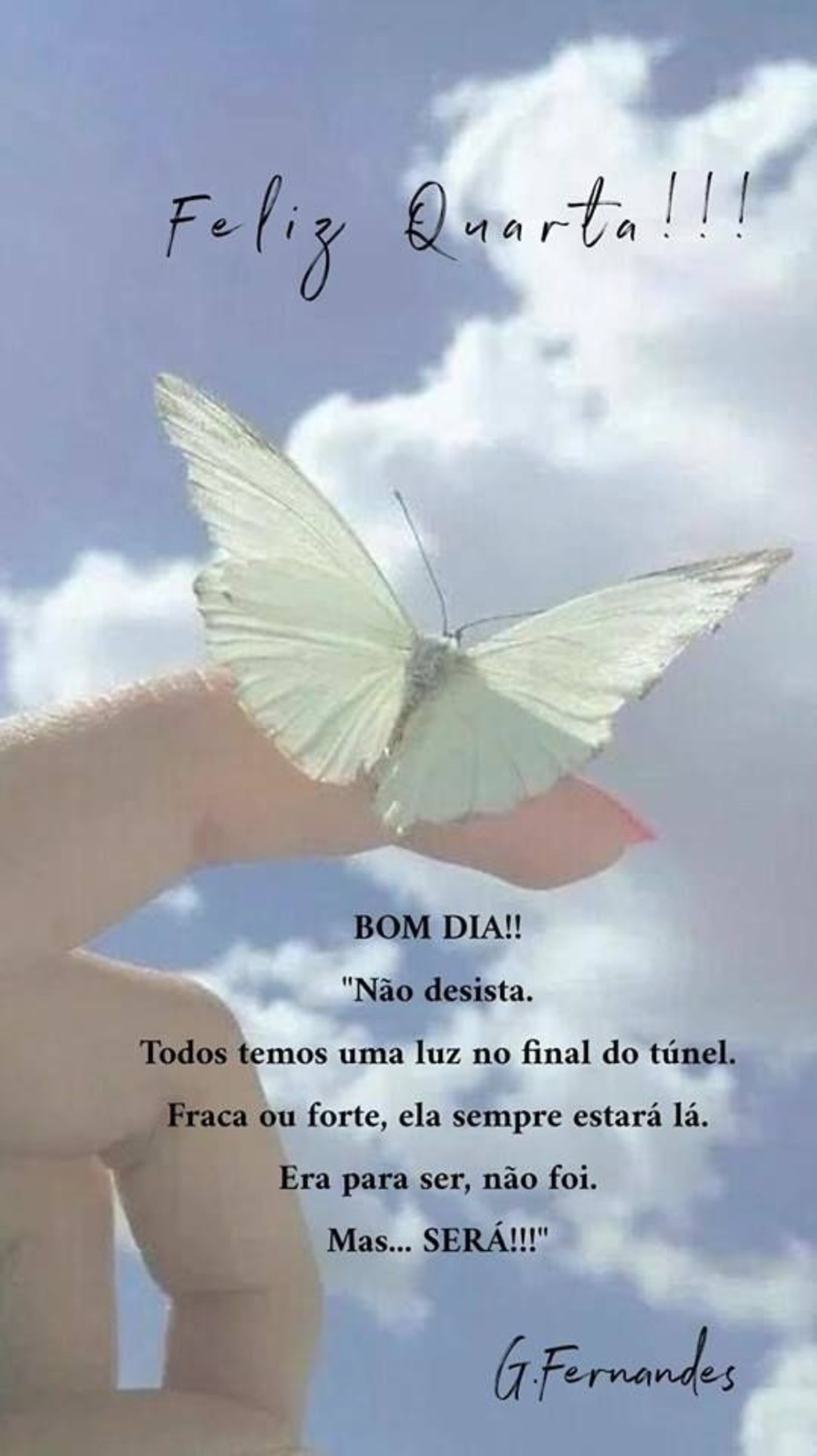 Feliz Quarta-Feira amigos 32 Feliz Quarta-Feira amigos 32