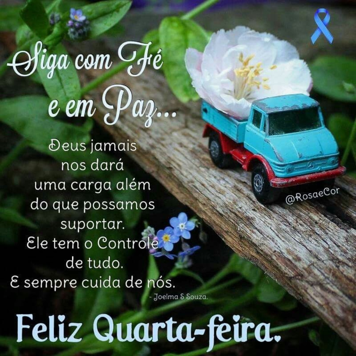 Feliz Quarta-Feira amigos 42