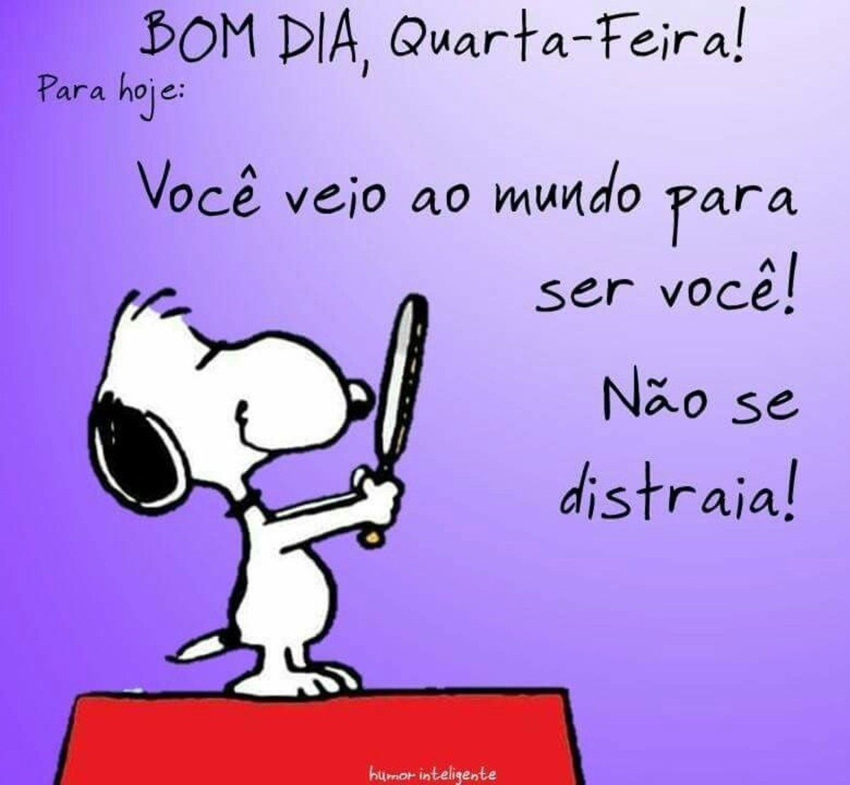 Feliz Quarta-feira Snoopy mensagem 61 Feliz Quarta-feira Snoopy mensagem 61