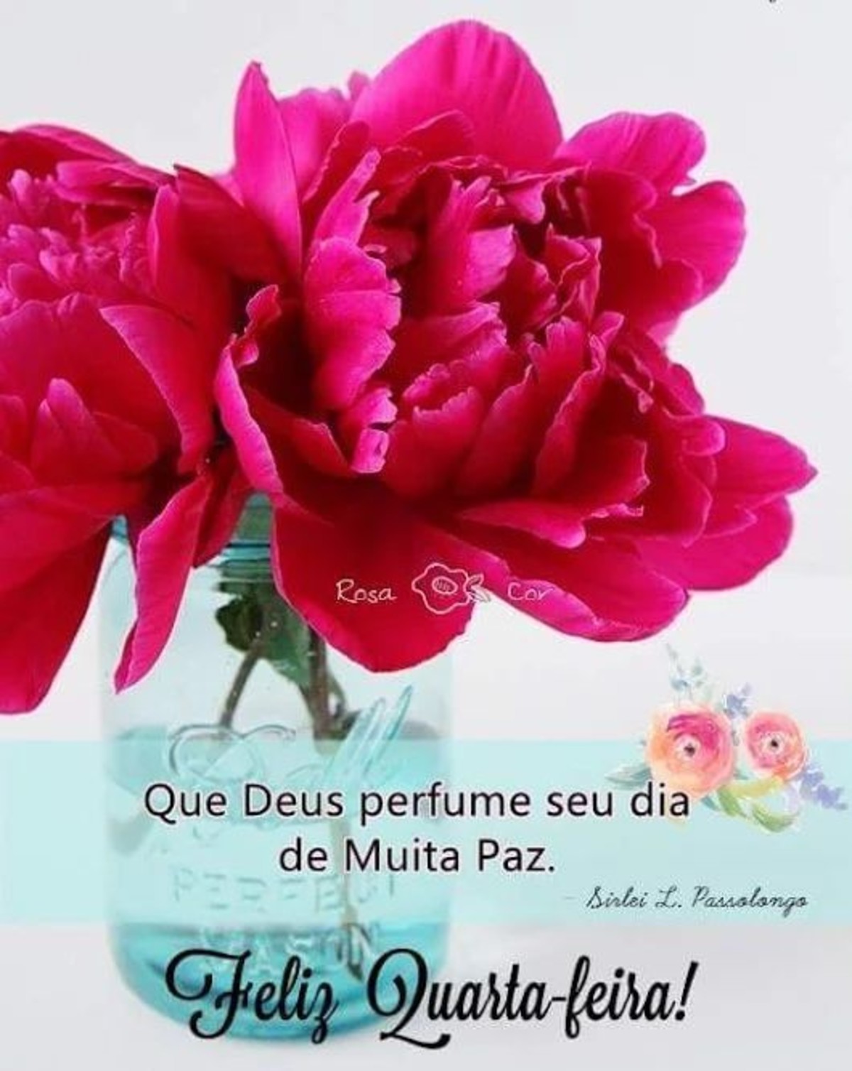 Feliz Quarta-feira com Flores imagem 33 Feliz Quarta-feira com Flores imagem 33