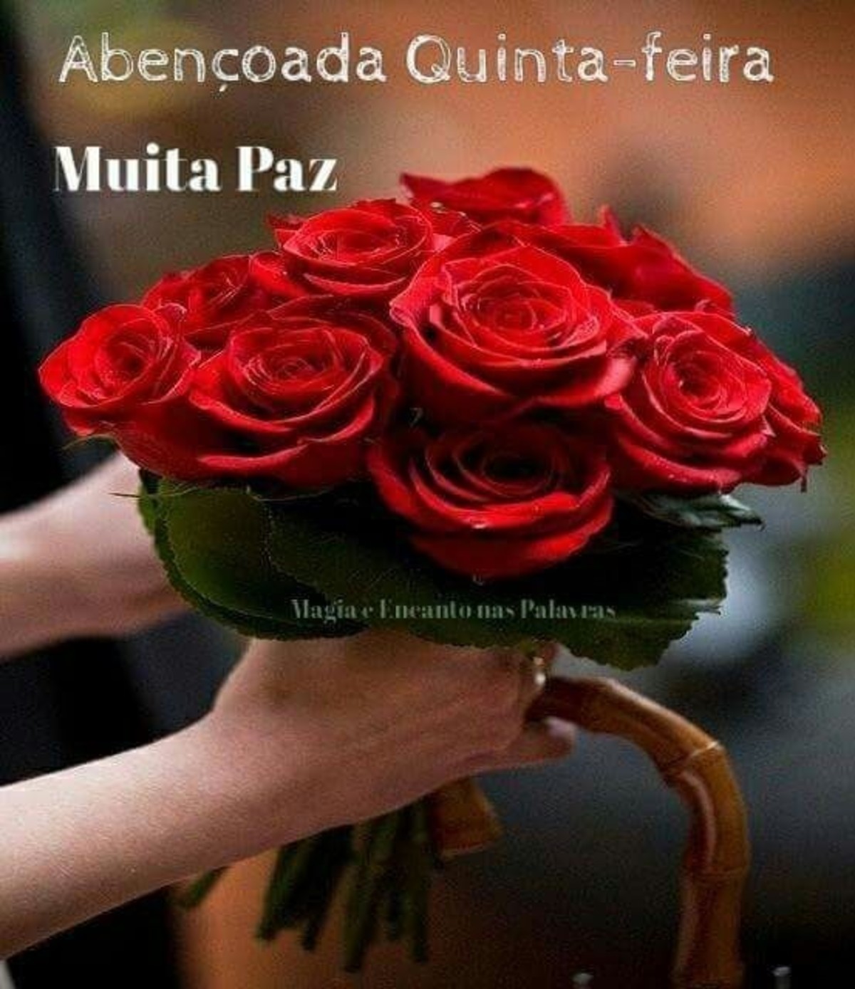 Feliz Quinta Feira com flores 156