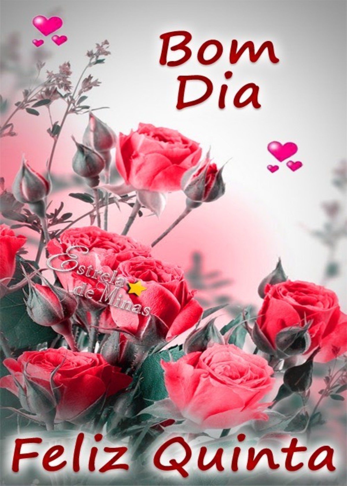 Feliz Quinta Feira com flores 65