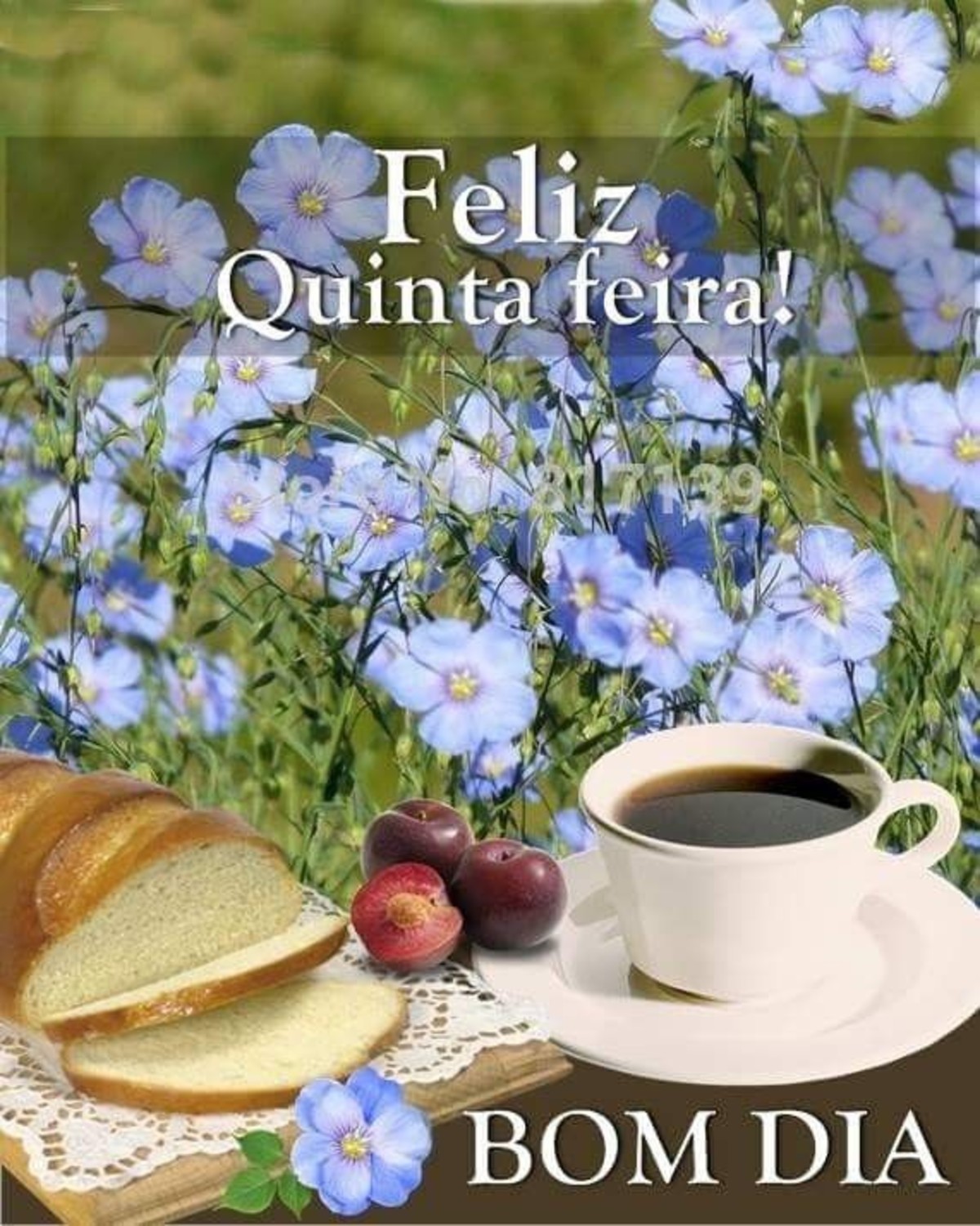Feliz Quinta-feira 150