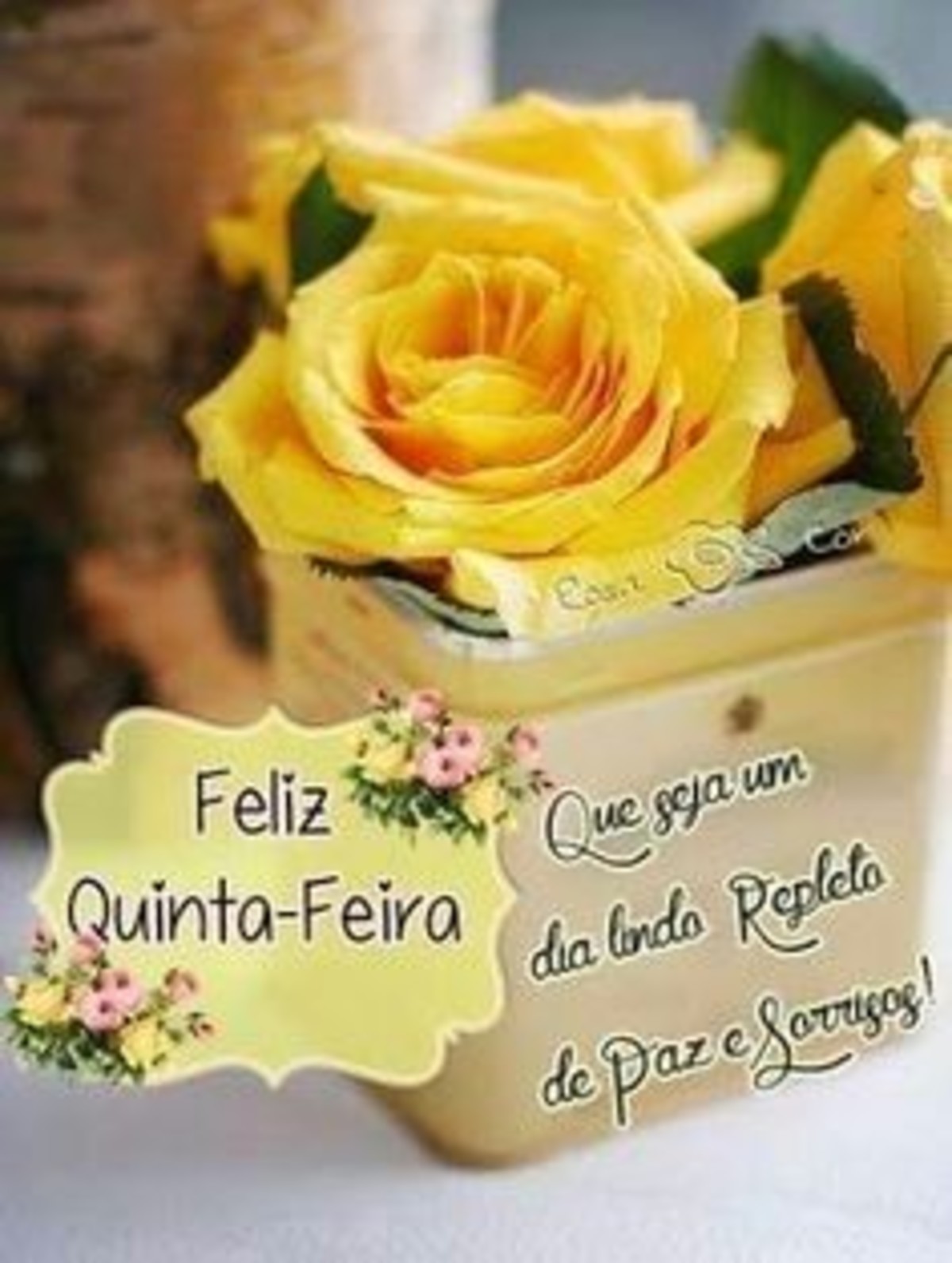 Feliz Quinta-feira Facebook 5