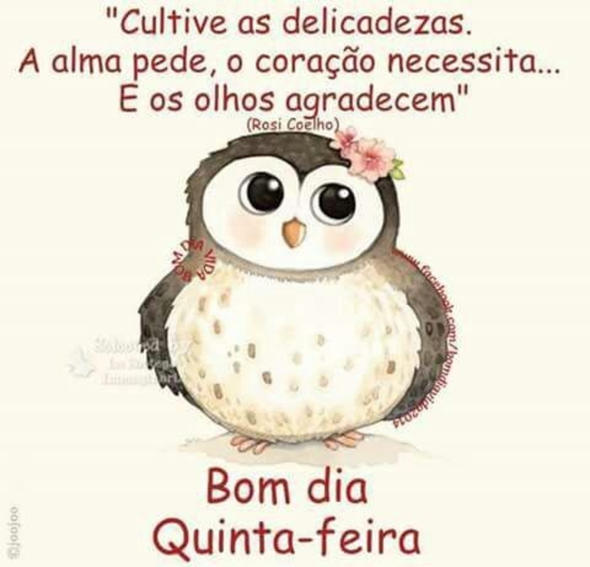 Feliz Quinta-feira Facebook 52