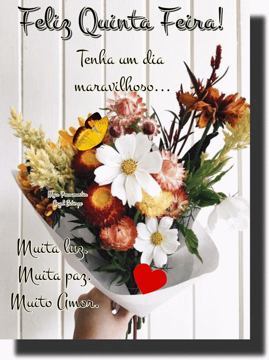 Feliz Quinta-feira GIF 195