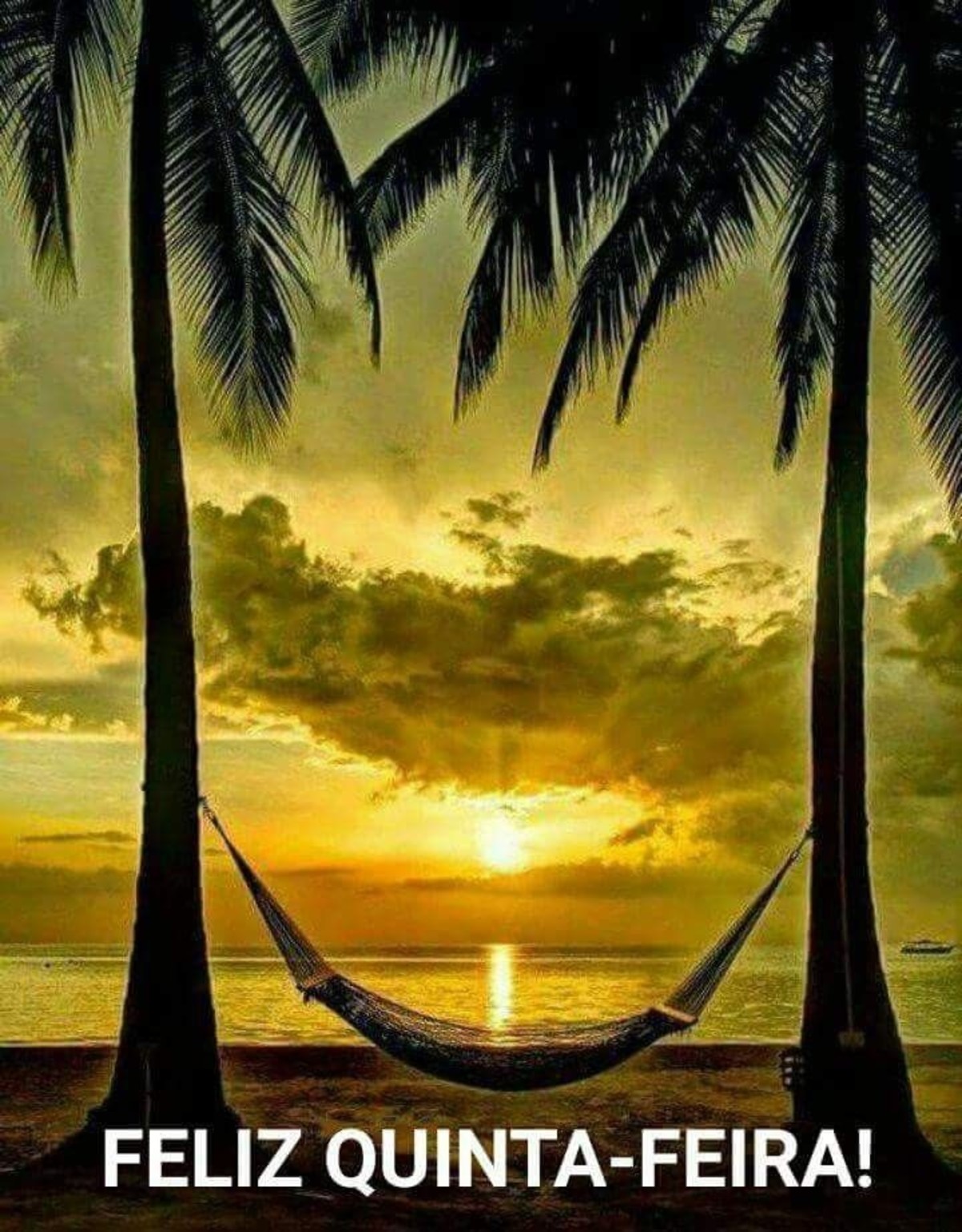Feliz Quinta-feira amigos WhatsApp 32