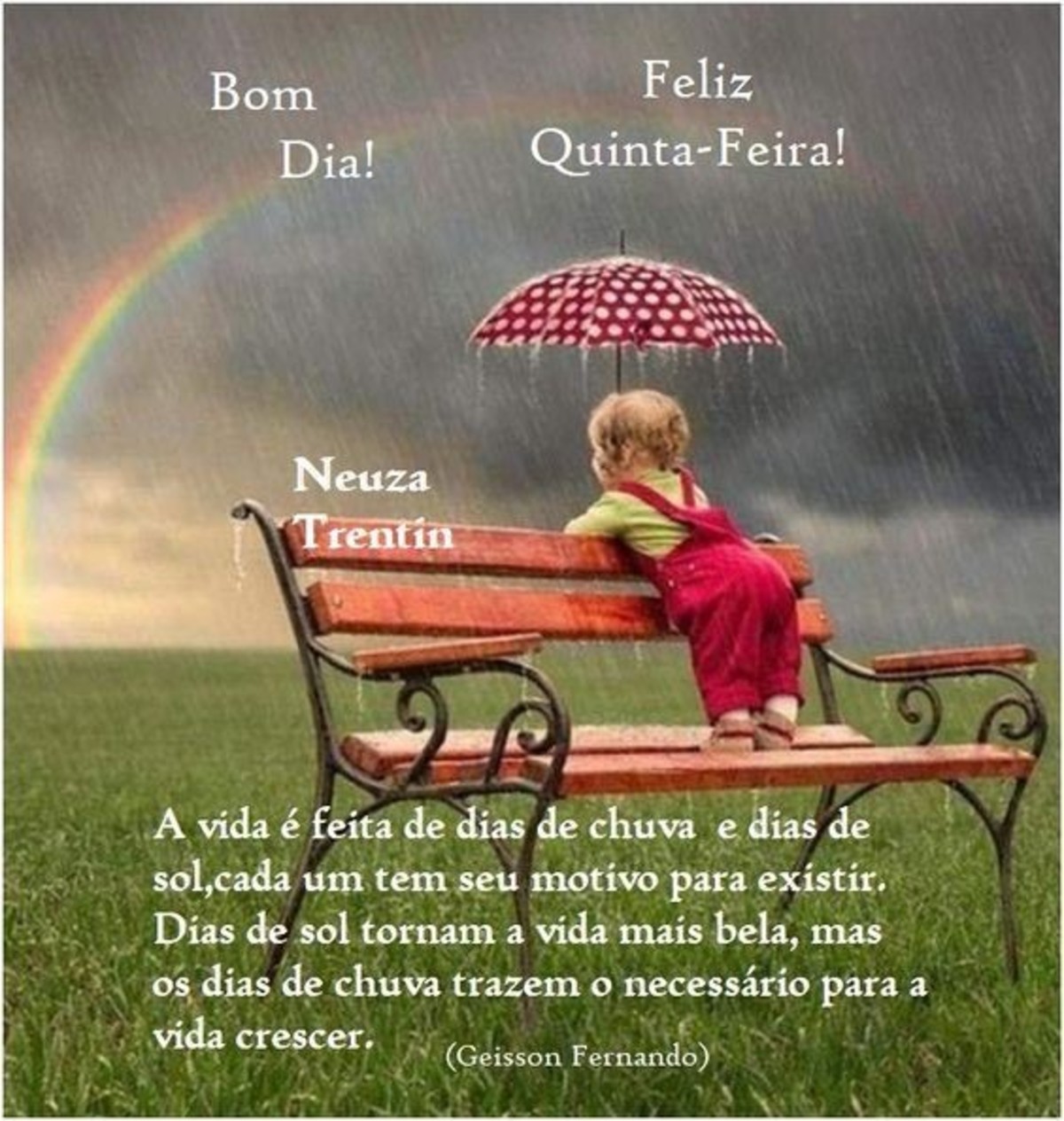 Feliz Quinta feira com chuva Feliz Quinta feira com chuva