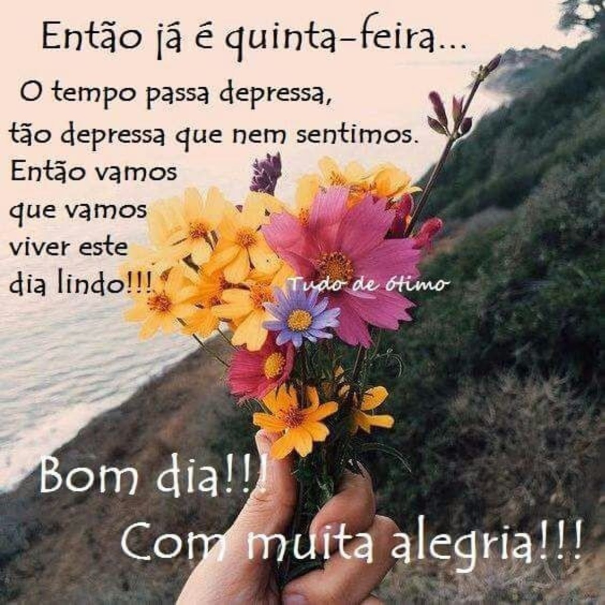 Feliz Quinta-feira com muita alegria 13