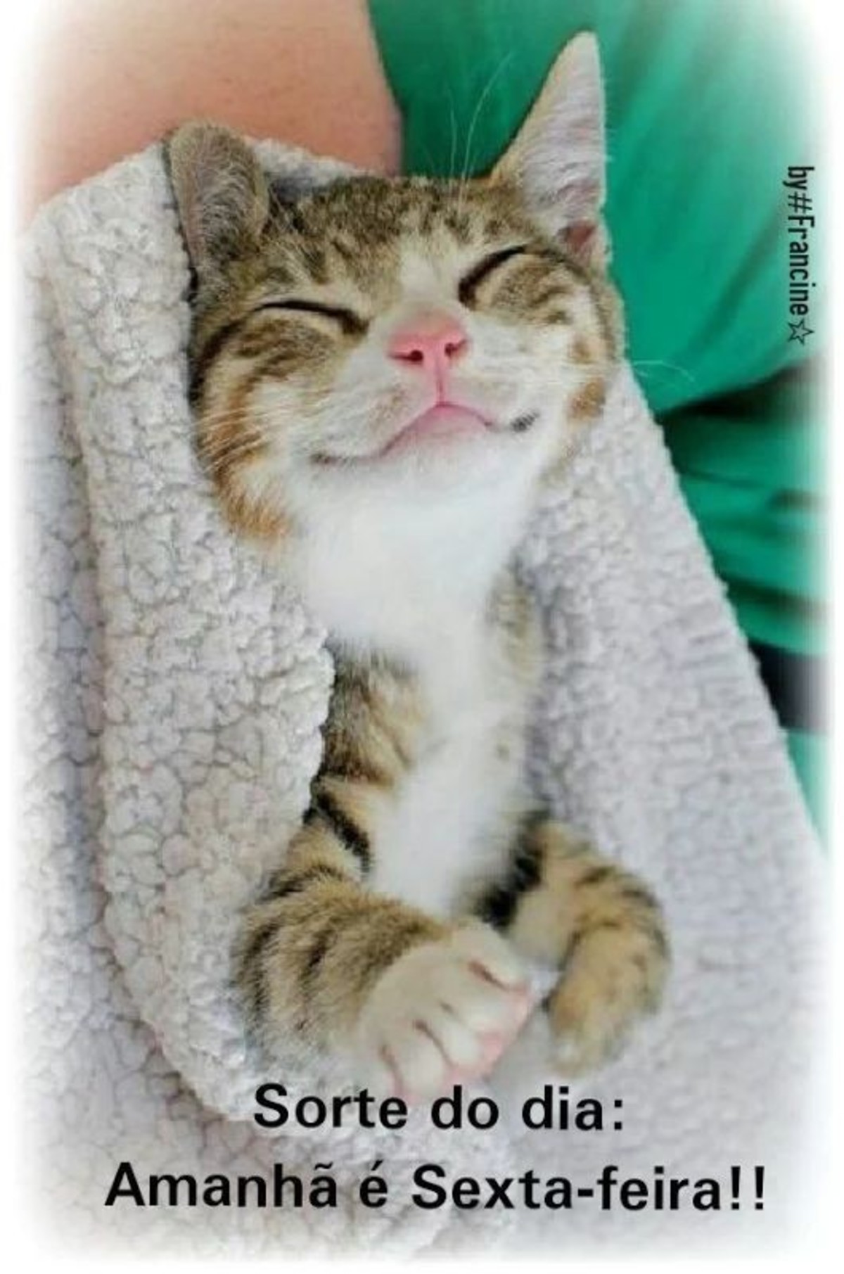 Feliz Quinta feira engraçadas mensagens Feliz Quinta feira engraçadas mensagens