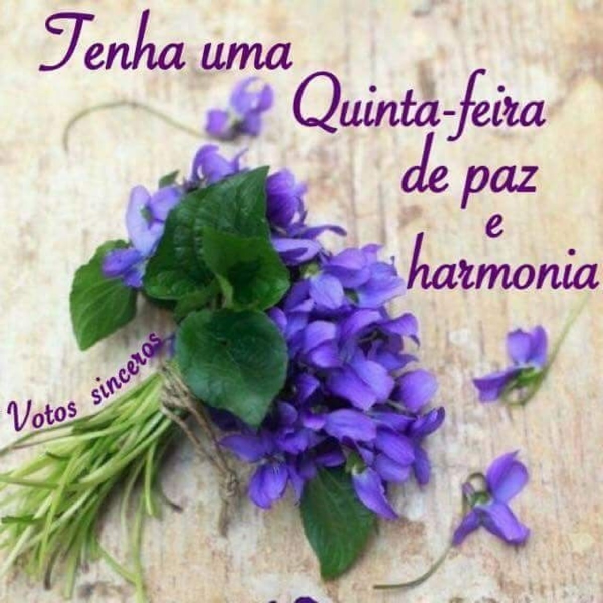 Feliz Quinta-feira imagens WhatsApp 18