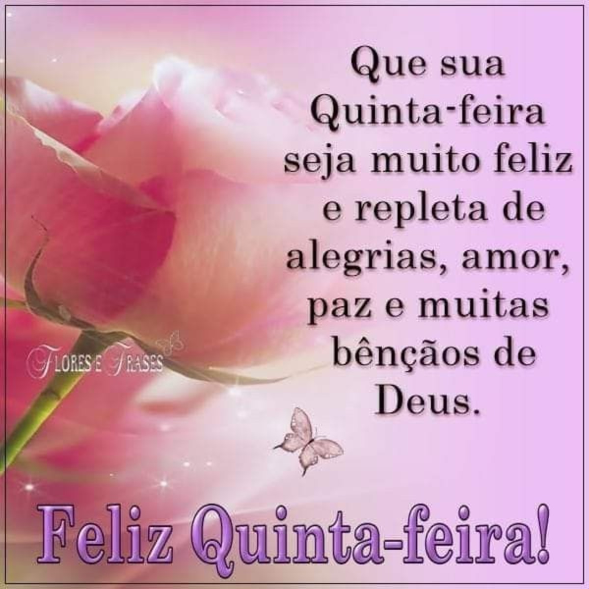 Feliz Quinta-feira imagens WhatsApp 183