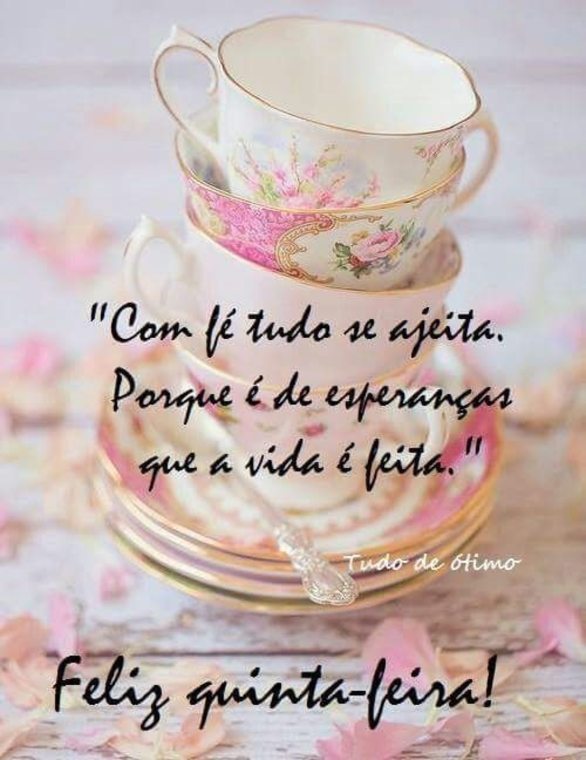Feliz Quinta-feira imagens WhatsApp 185