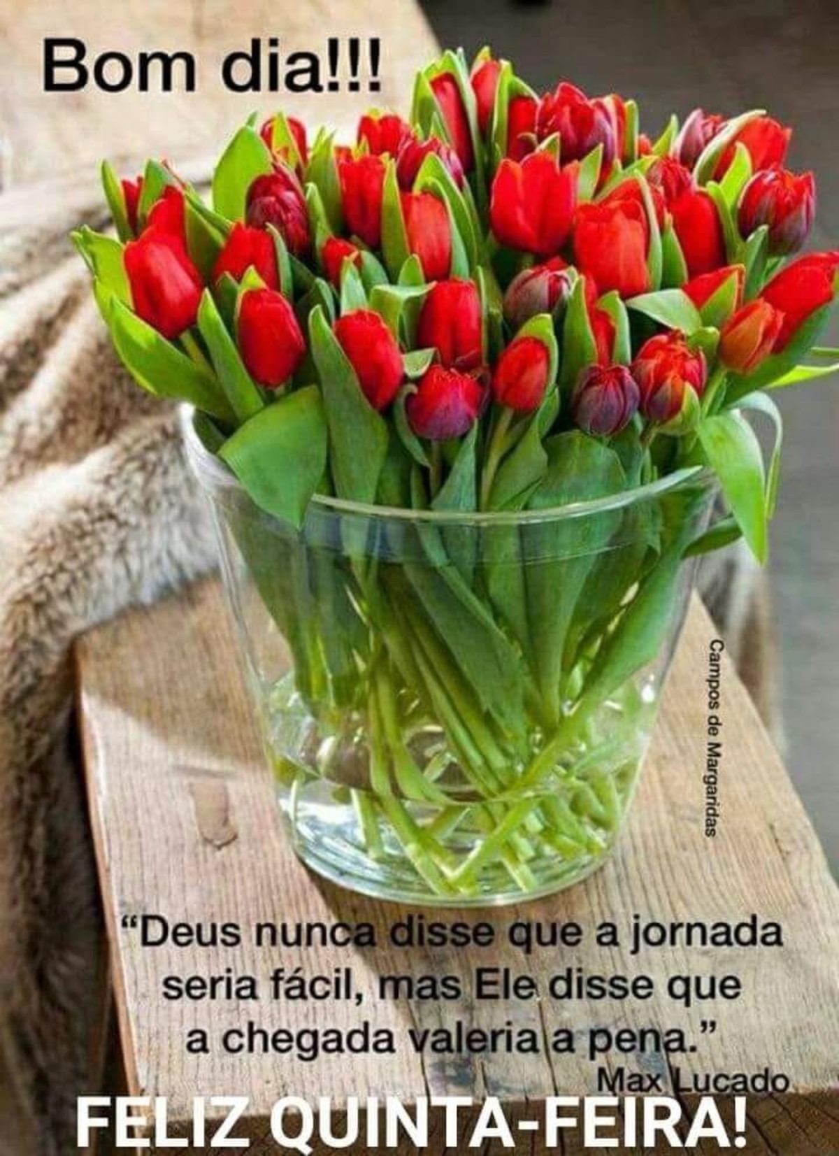 Feliz Quinta-feira mensagens Facebook 194
