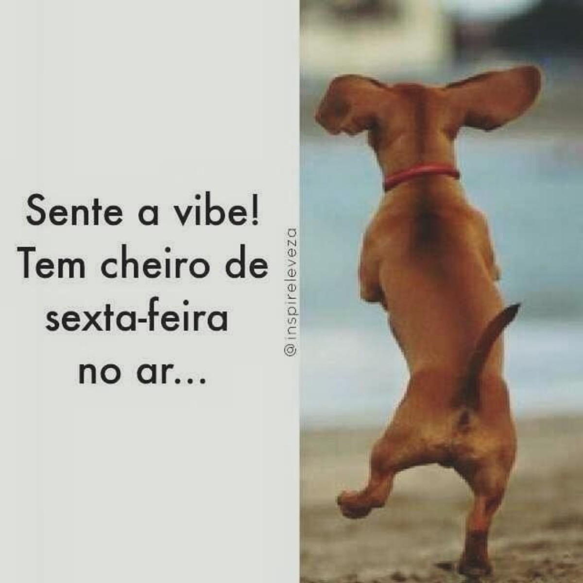 Feliz Quinta-feira mensagens lindas 164