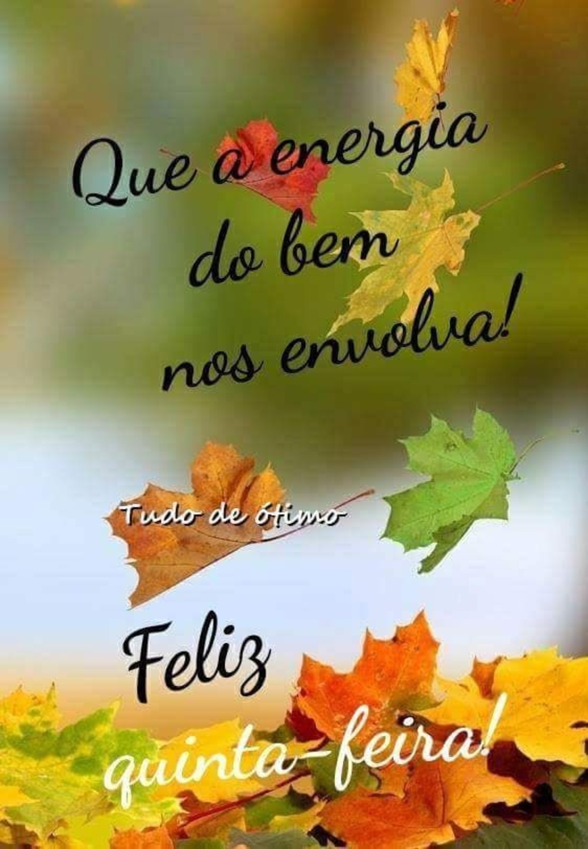 Feliz Quinta-feira outono 19