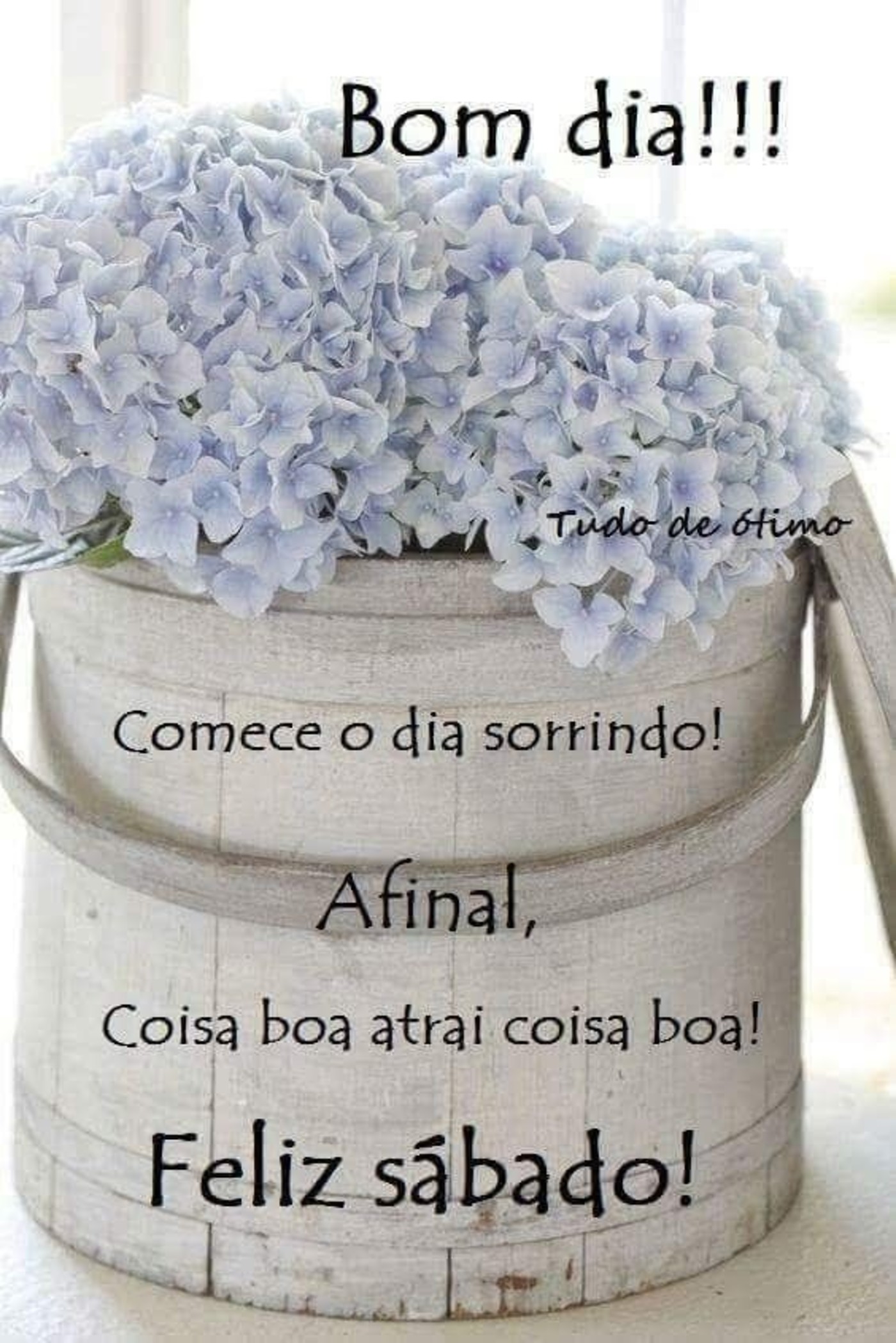 Feliz Sábado Bom Dia Feliz Sábado Bom Dia