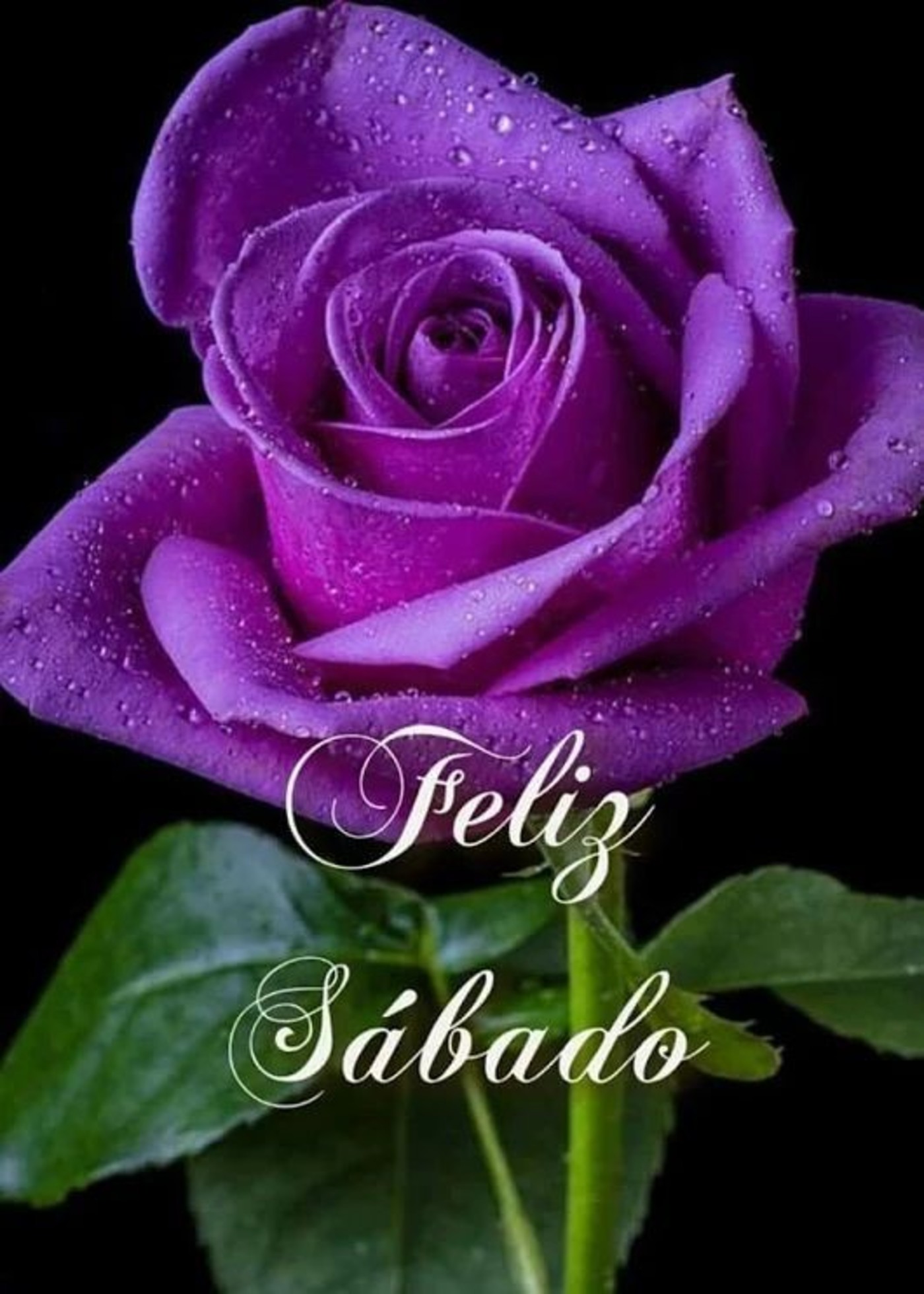 Feliz Sábado belas imagens 224 Archives Feliz Sábado belas imagens 224 Archives