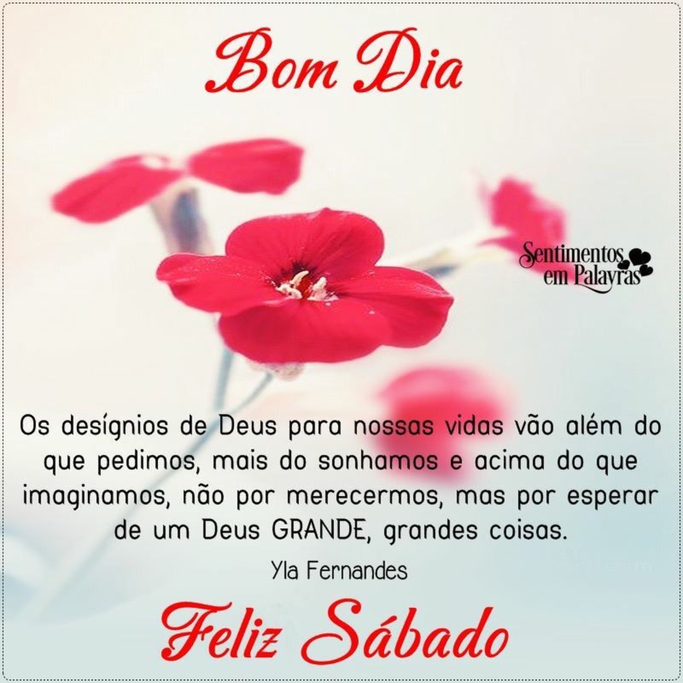 Feliz Sábado com flores lindas imagens 183 Feliz Sábado com flores lindas imagens 183